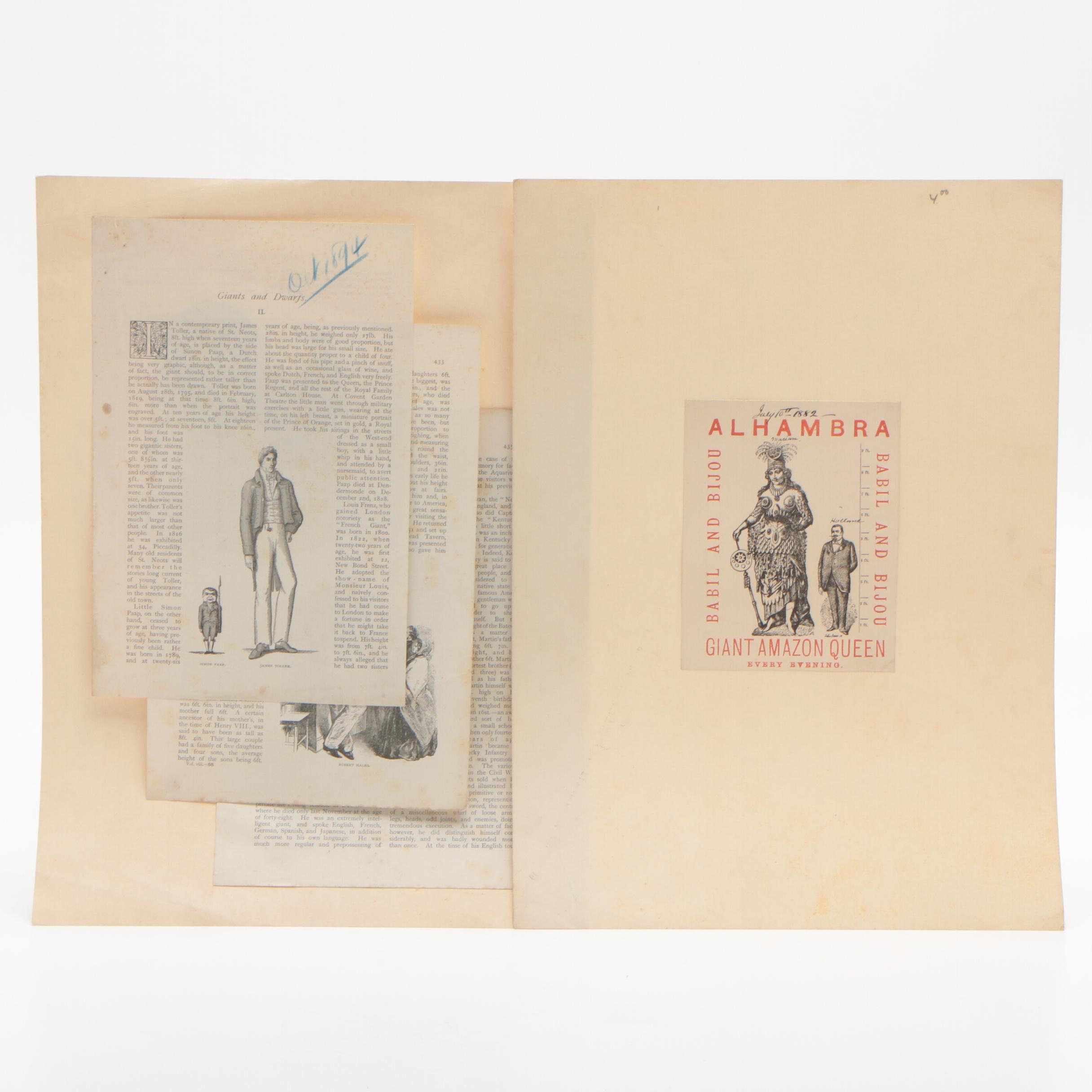 Newspaper, Book Clippings and Charcoal Drawings on Cardboard