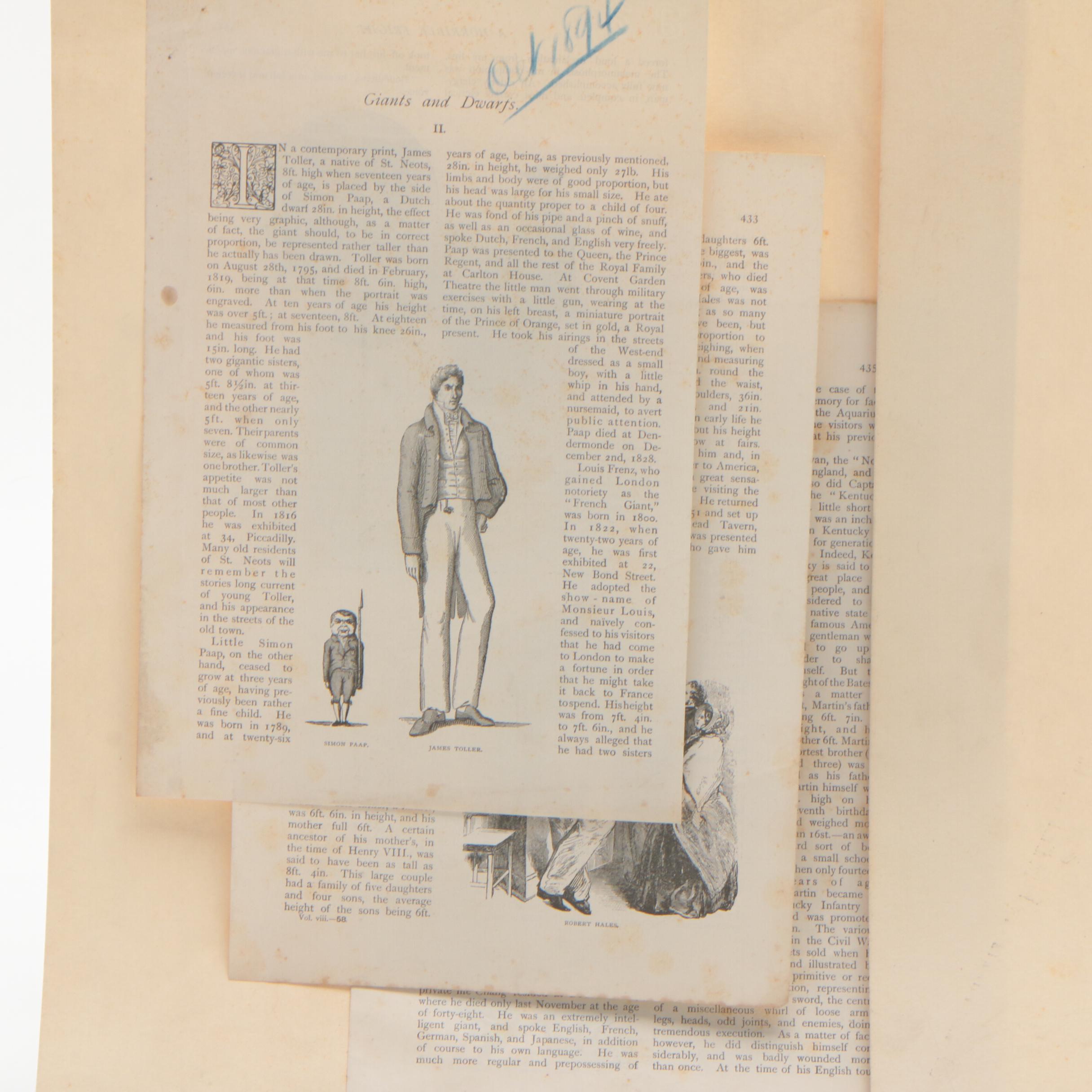 Newspaper, Book Clippings and Charcoal Drawings on Cardboard