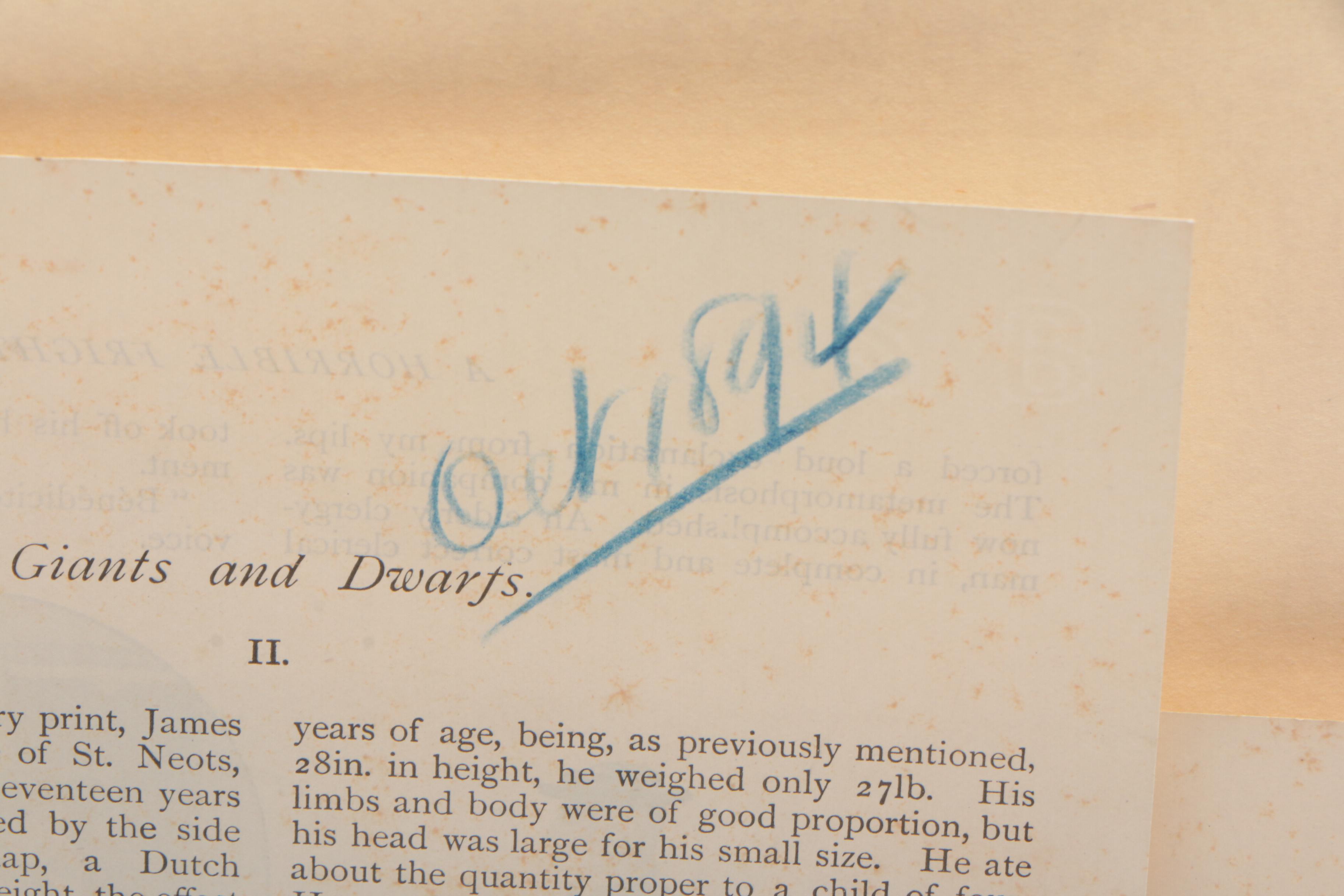 Newspaper, Book Clippings and Charcoal Drawings on Cardboard