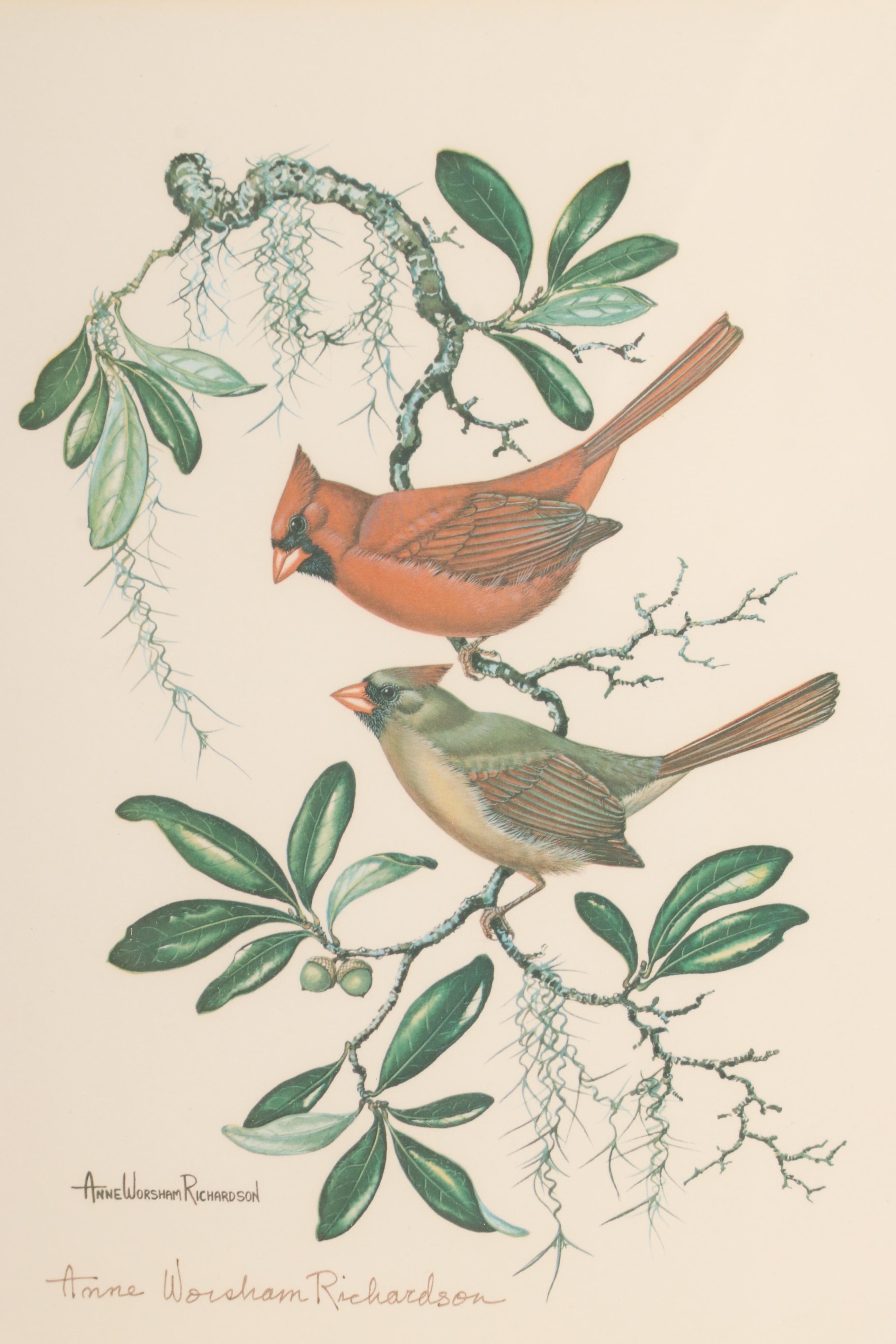 Anne Worsham Richardson Offset Lithograph "Cardinal with Live Oak"