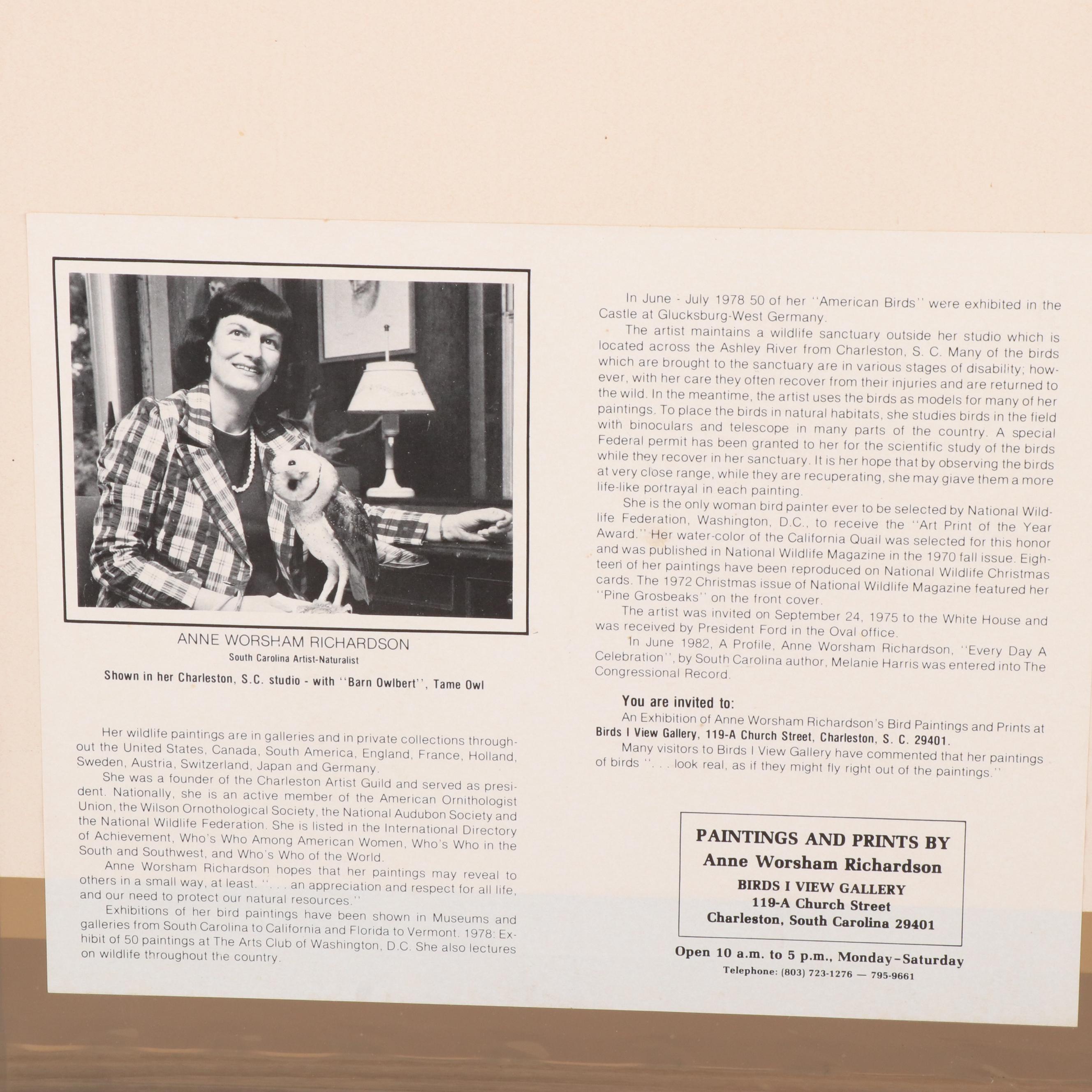 Anne Worsham Richardson Offset Lithograph "Cardinal with Live Oak"