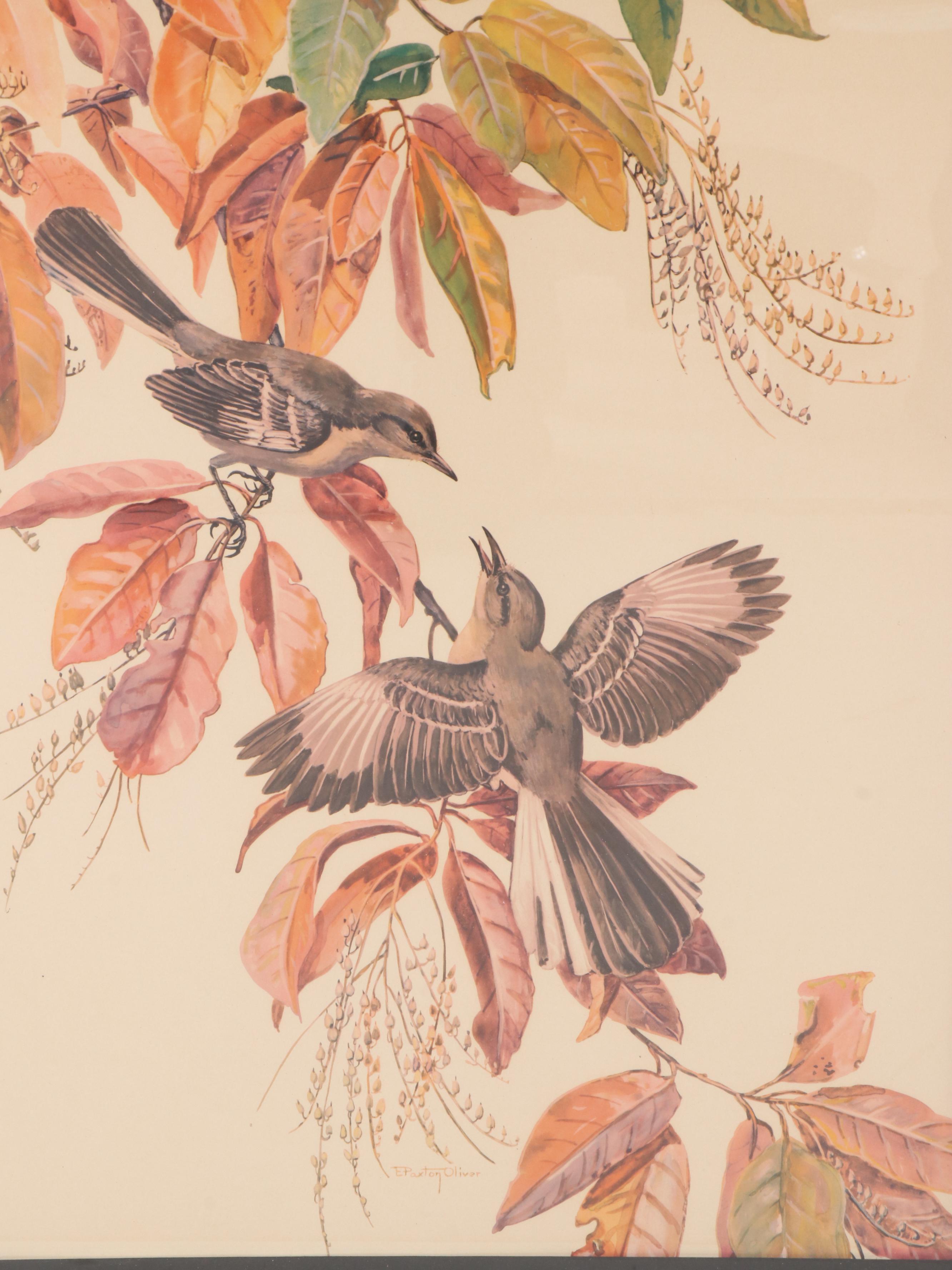 Offset Lithograph After Elizabeth Paxton Oliver "Mockingbird"
