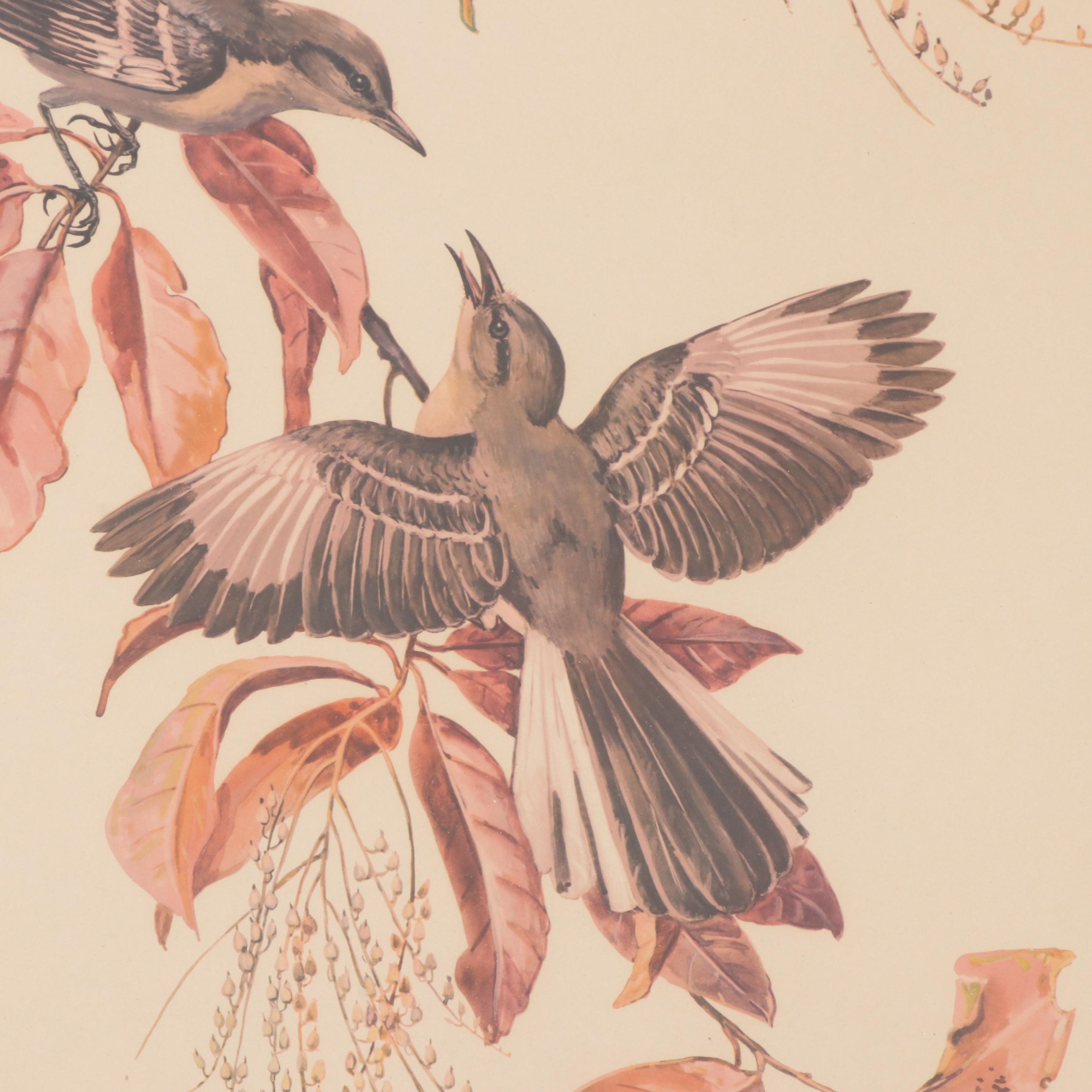 Offset Lithograph After Elizabeth Paxton Oliver "Mockingbird"