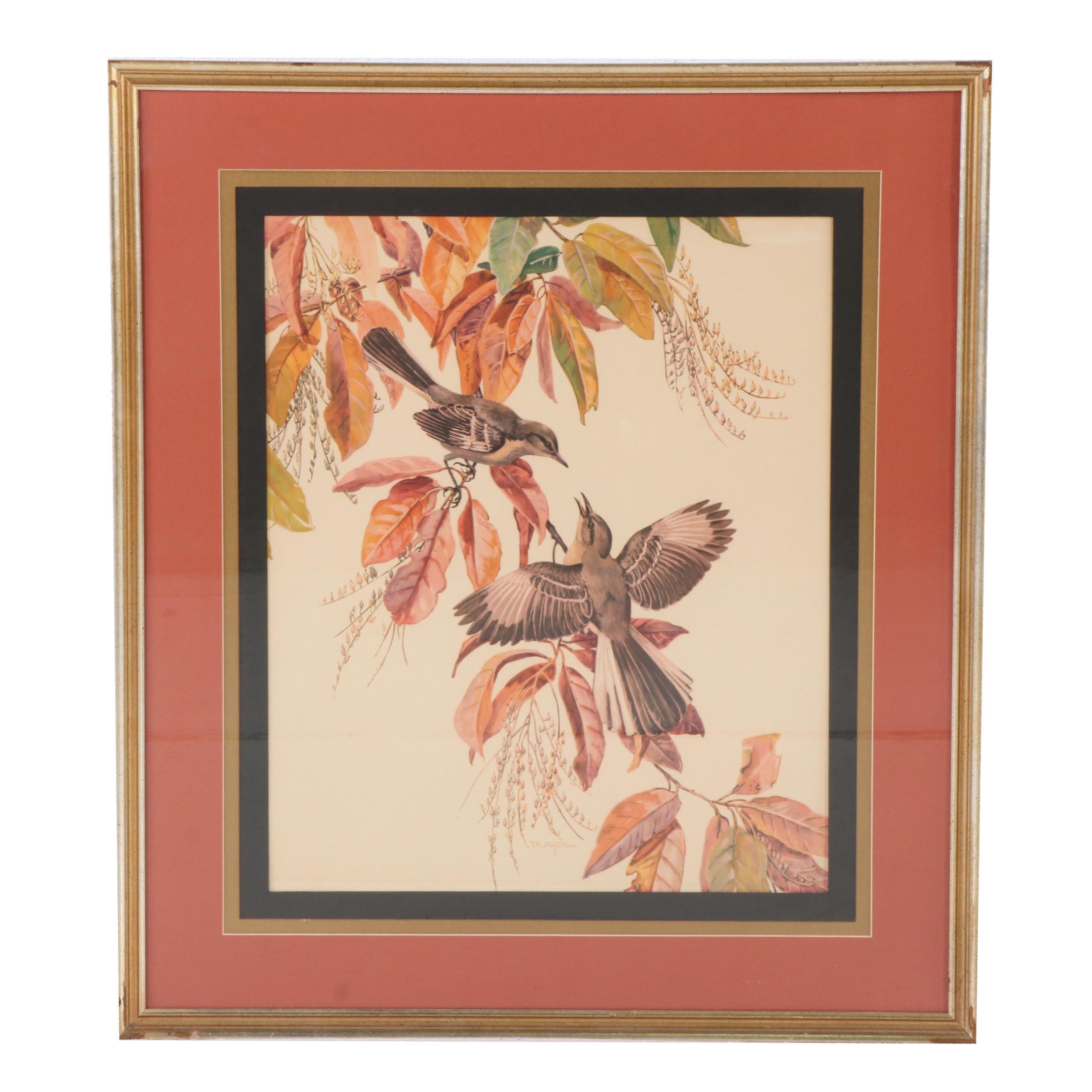Offset Lithograph After Elizabeth Paxton Oliver "Mockingbird"