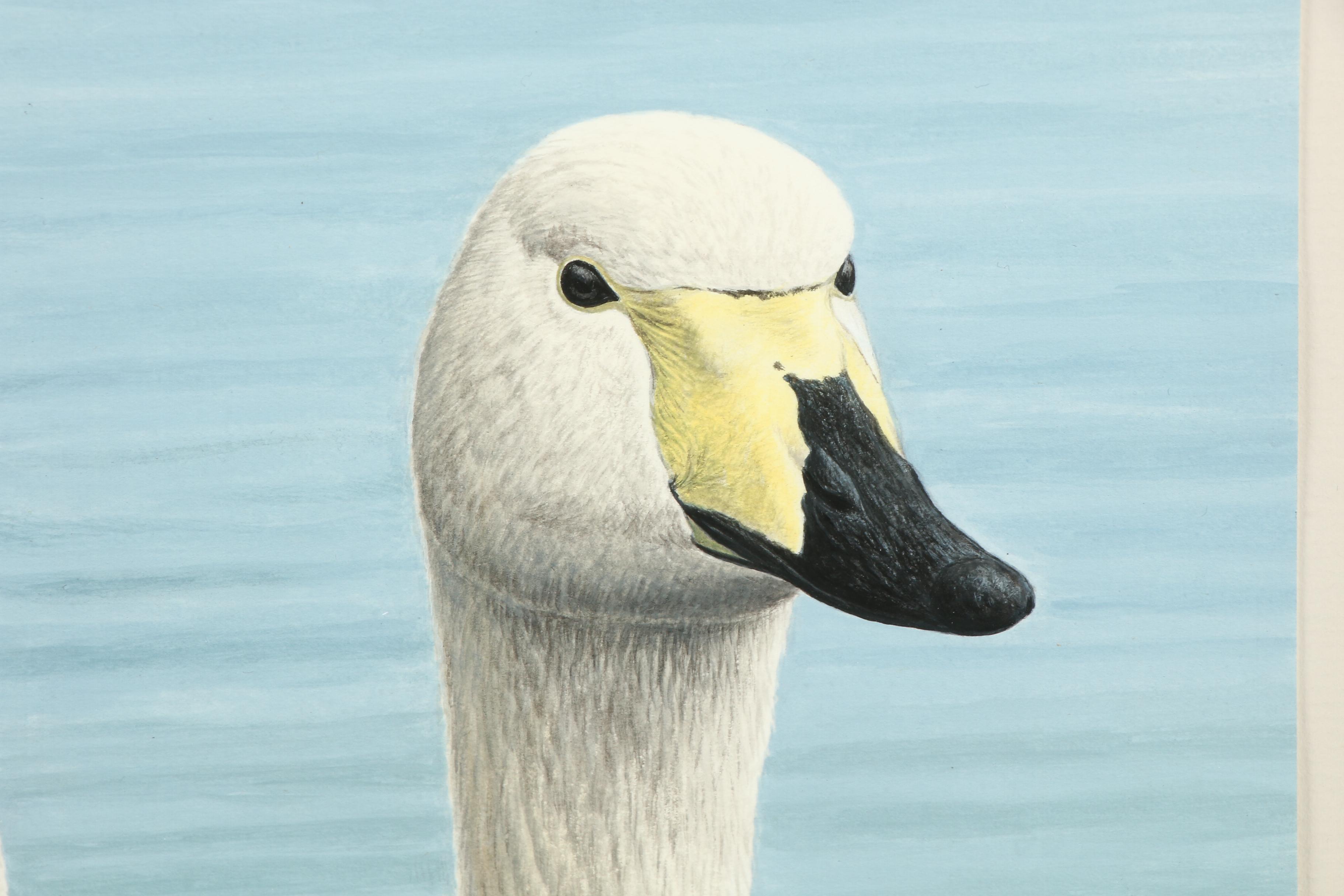 Simon Turvey Watercolor Painting of Geese