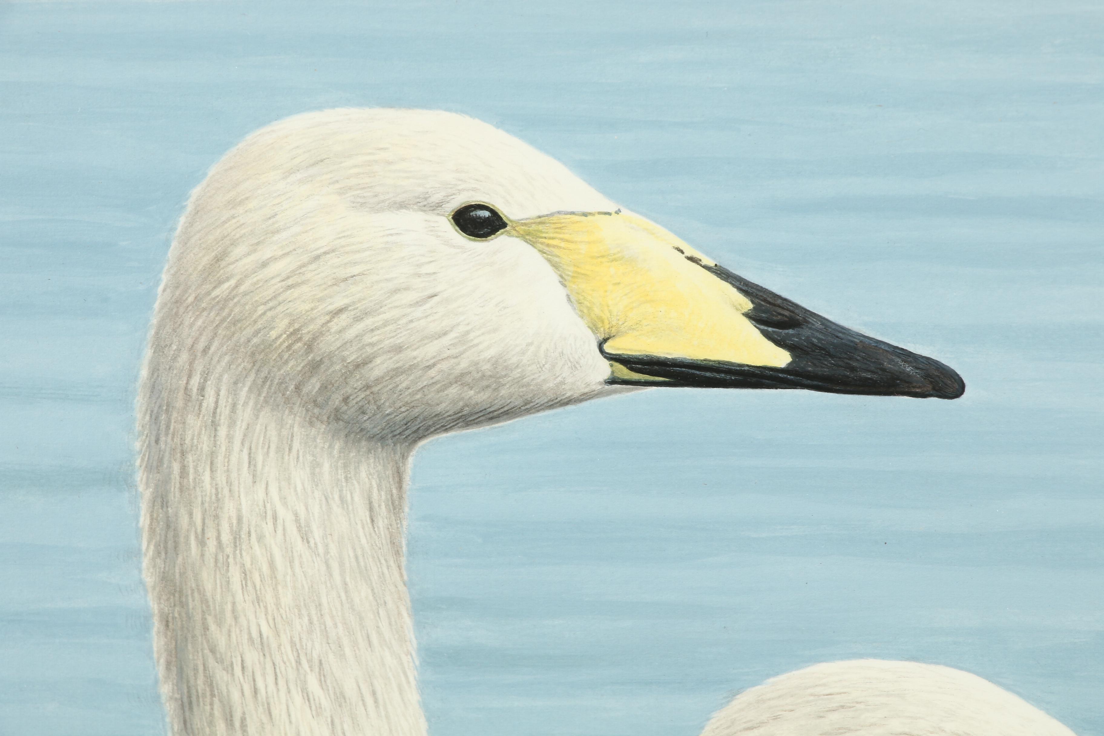 Simon Turvey Watercolor Painting of Geese