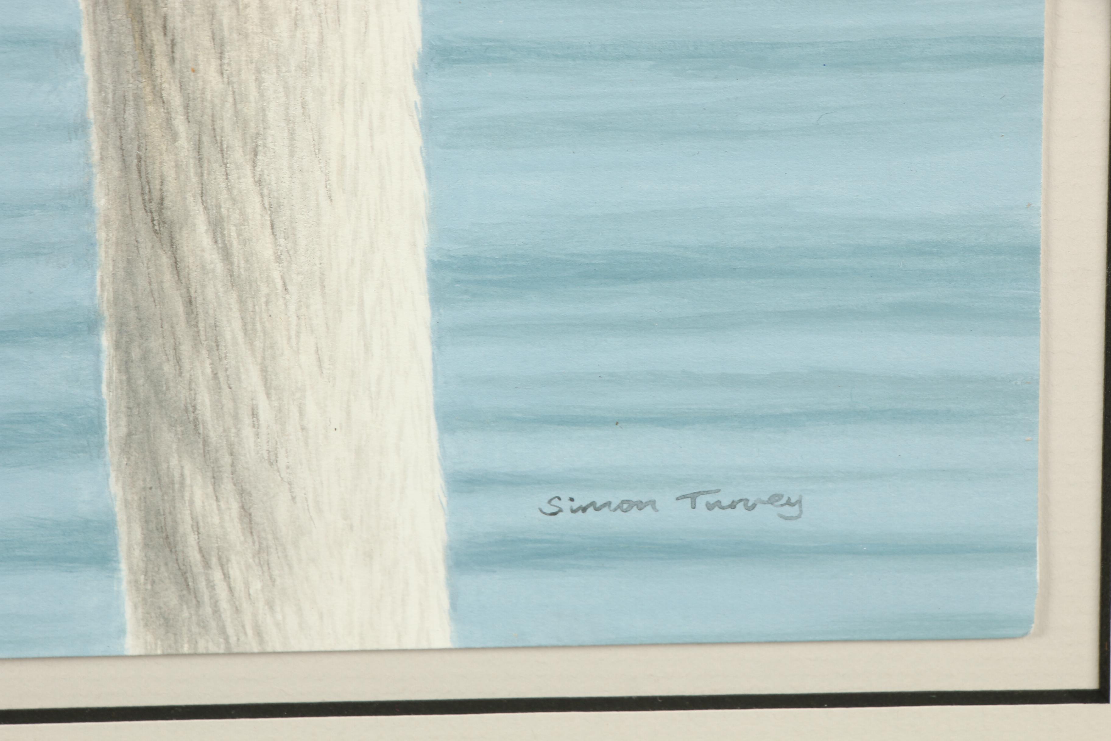 Simon Turvey Watercolor Painting of Geese