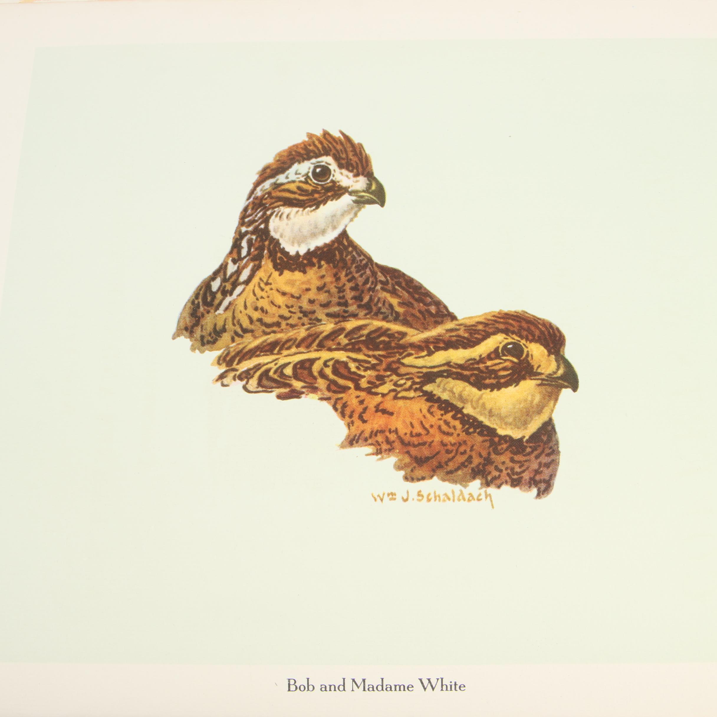 Hunting and Fishing Books including "Coverts & Casts" by William J. Schaldach