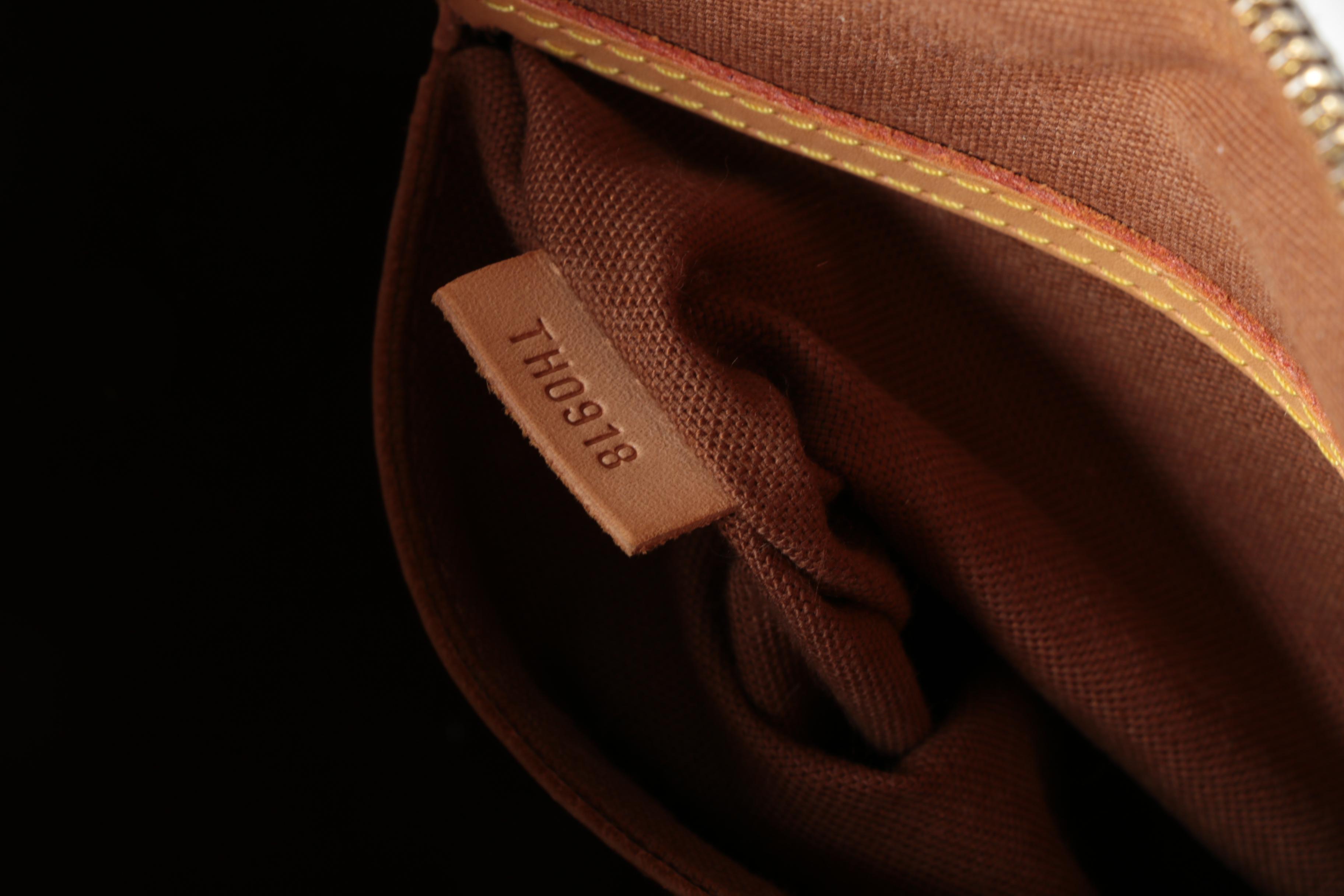 Louis Vuitton Paris Alma PM Bag in Monogram Canvas and Leather