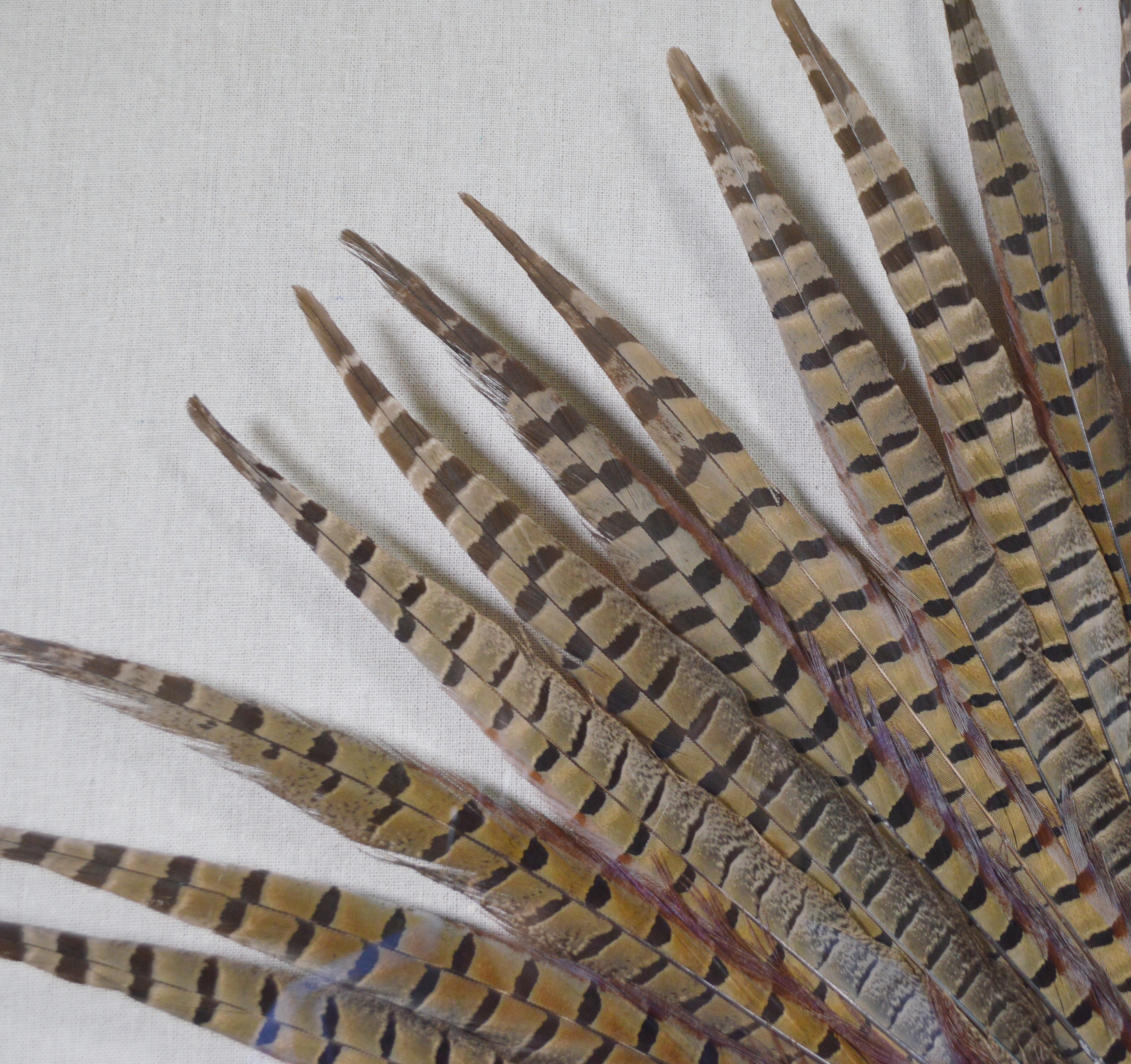 Revelation by Uttermost Feather Wall Art