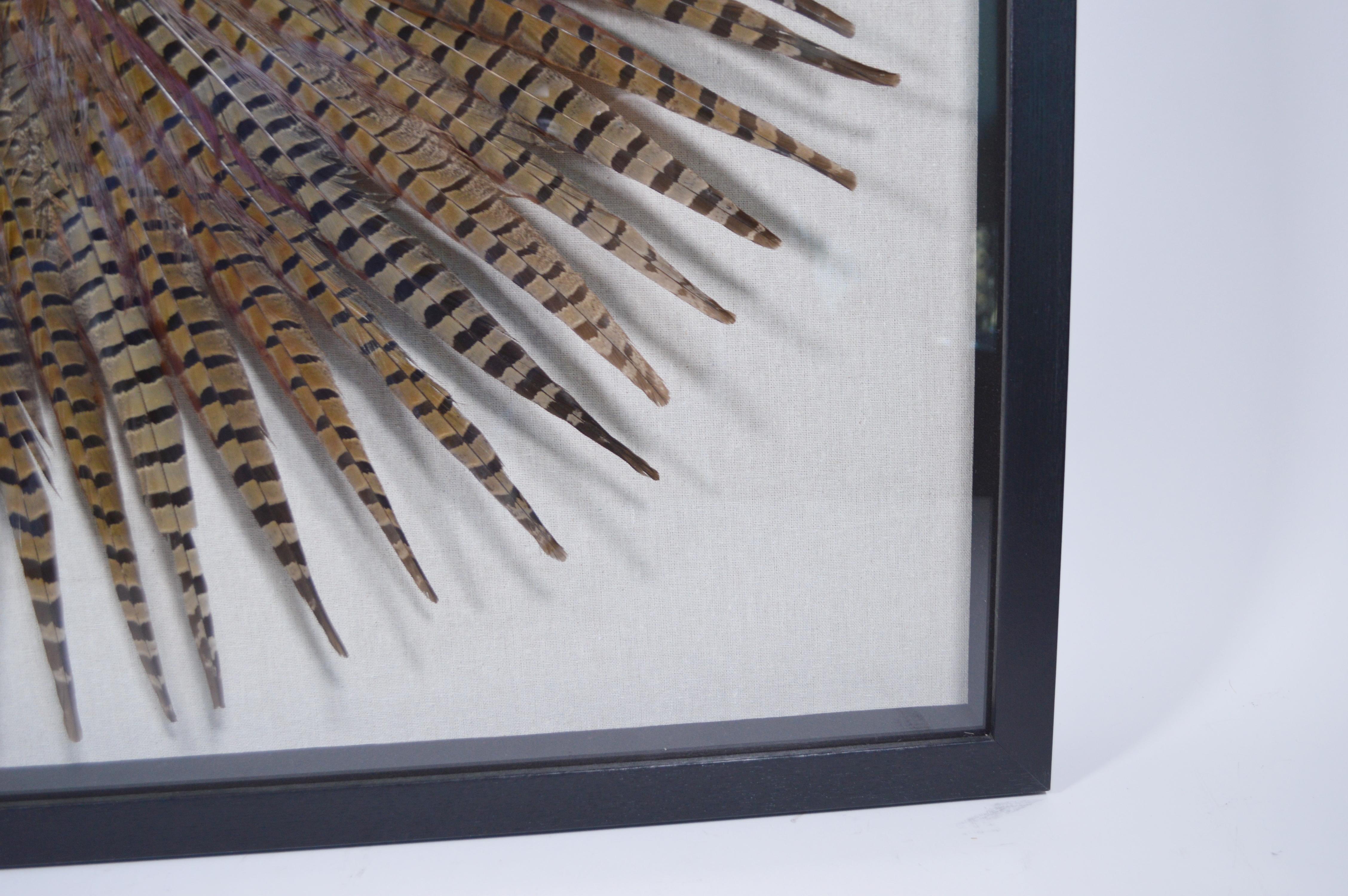 Revelation by Uttermost Feather Wall Art