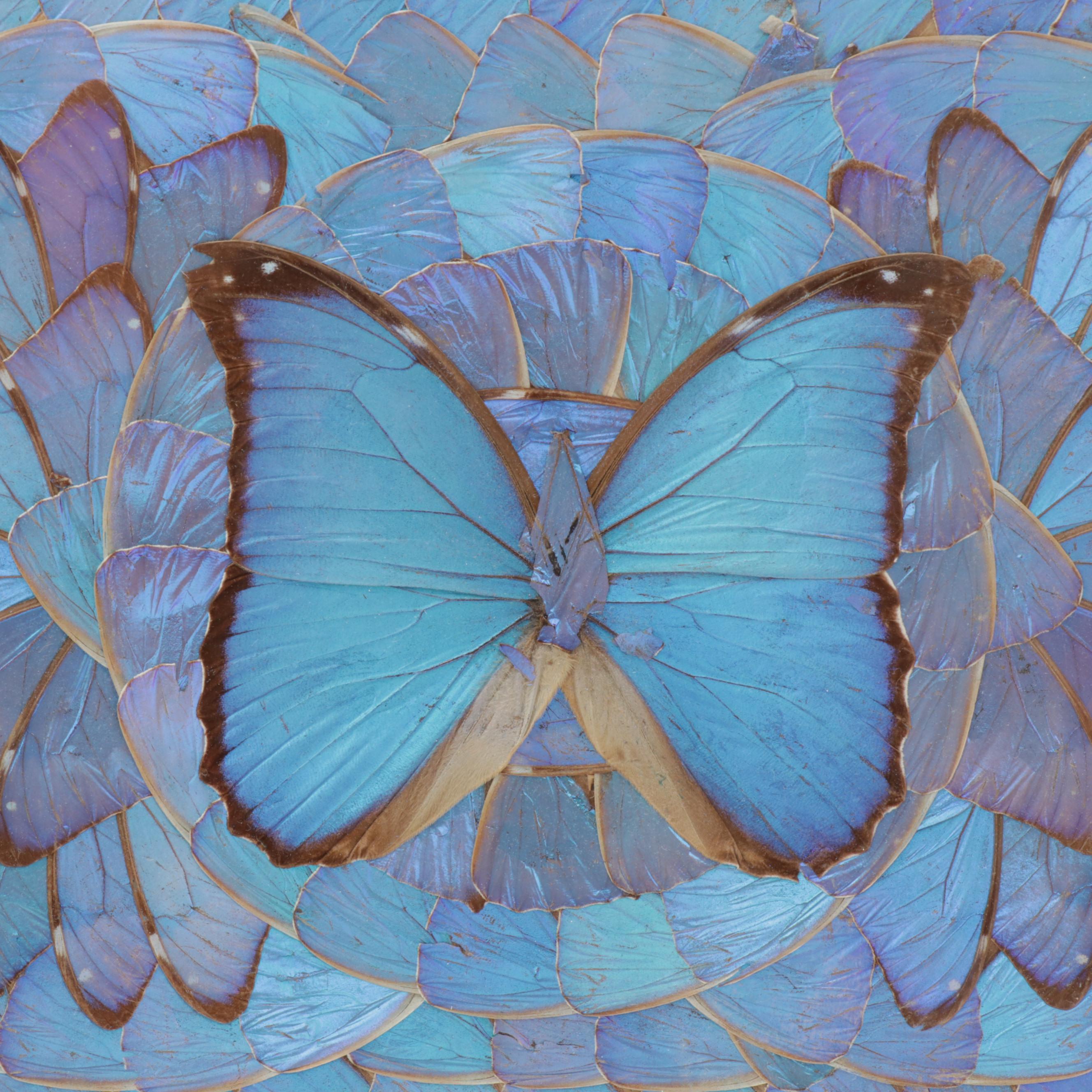 Brazilian Blue Morpho Butterfly Wing Collage, circa 1980