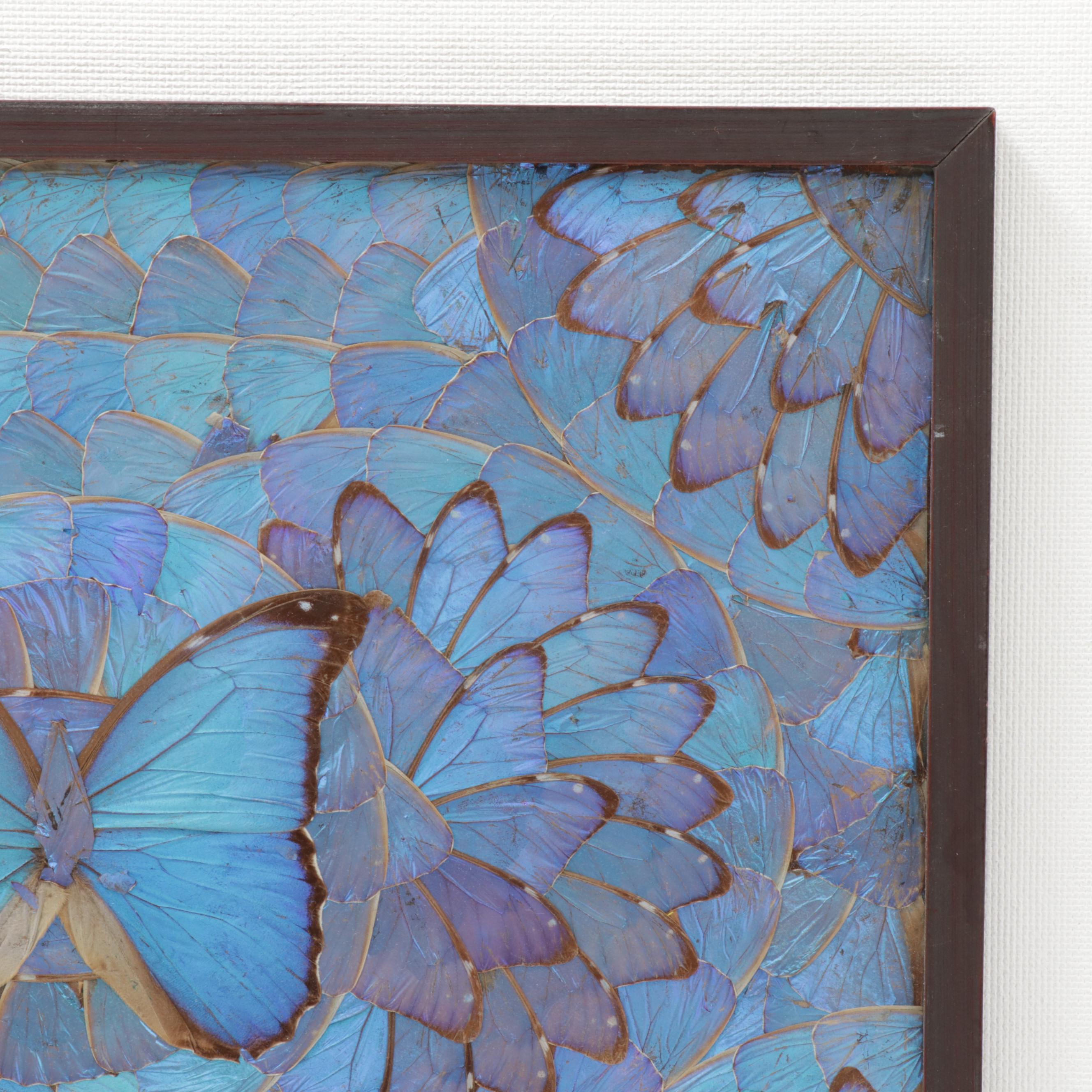Brazilian Blue Morpho Butterfly Wing Collage, circa 1980