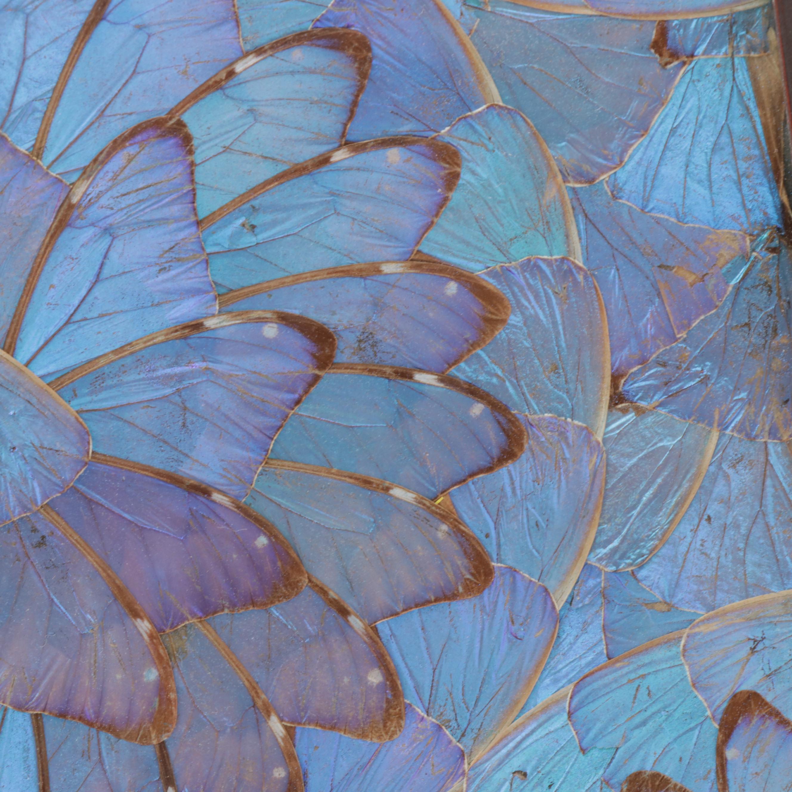 Brazilian Blue Morpho Butterfly Wing Collage, circa 1980