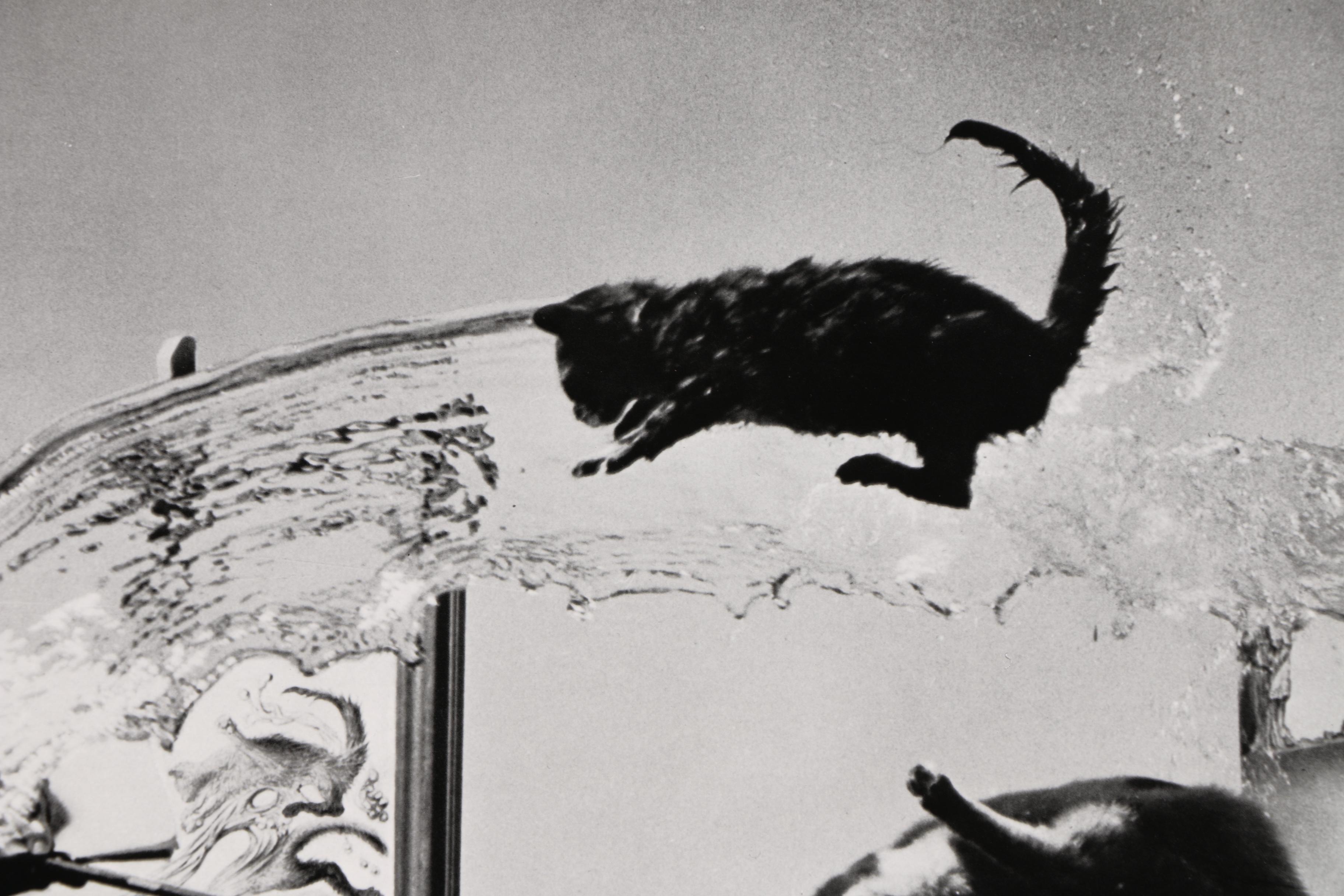 Halftone After Philippe Halsman and Salvador Dalí "Dali Atomicus"