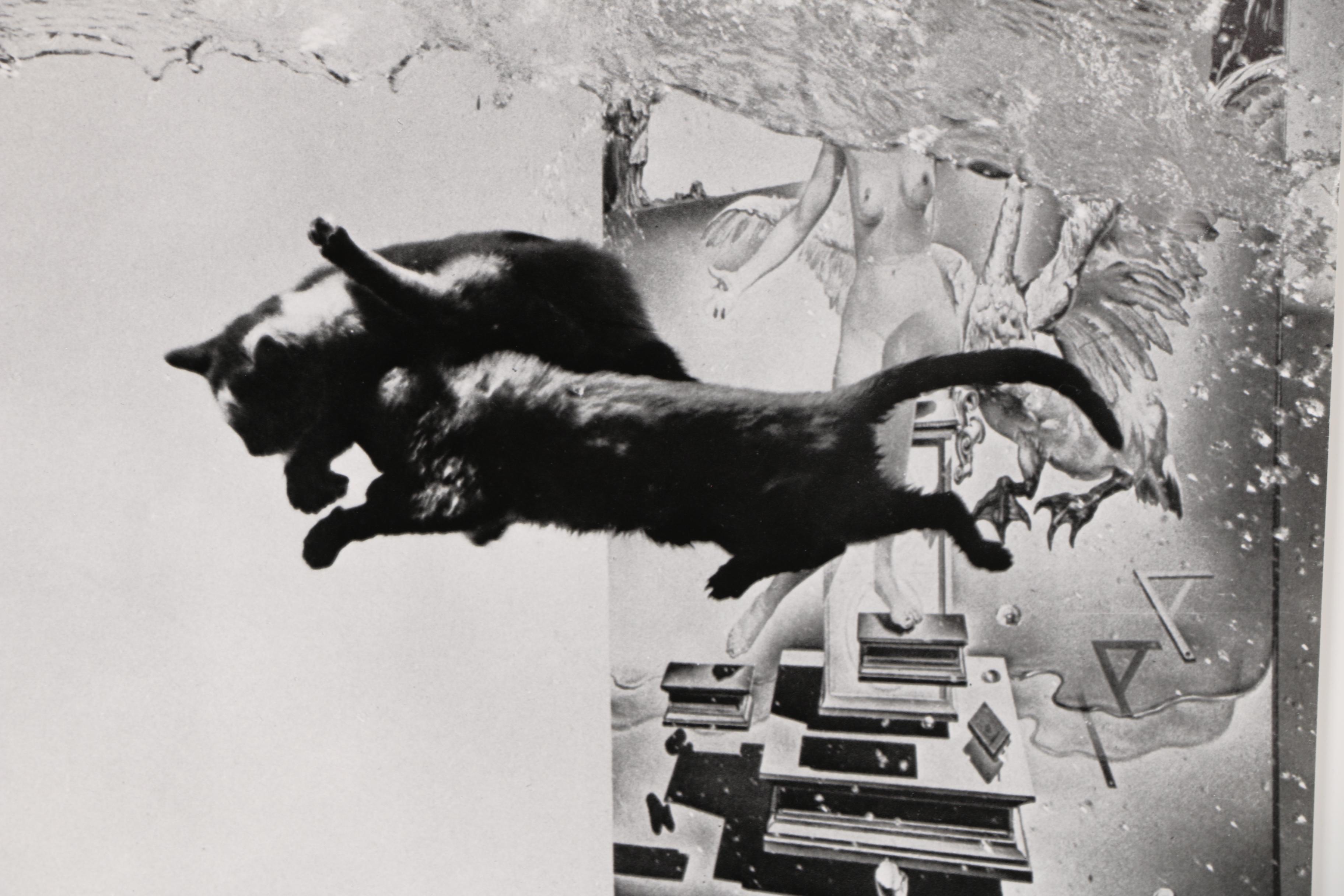 Halftone After Philippe Halsman and Salvador Dalí "Dali Atomicus"