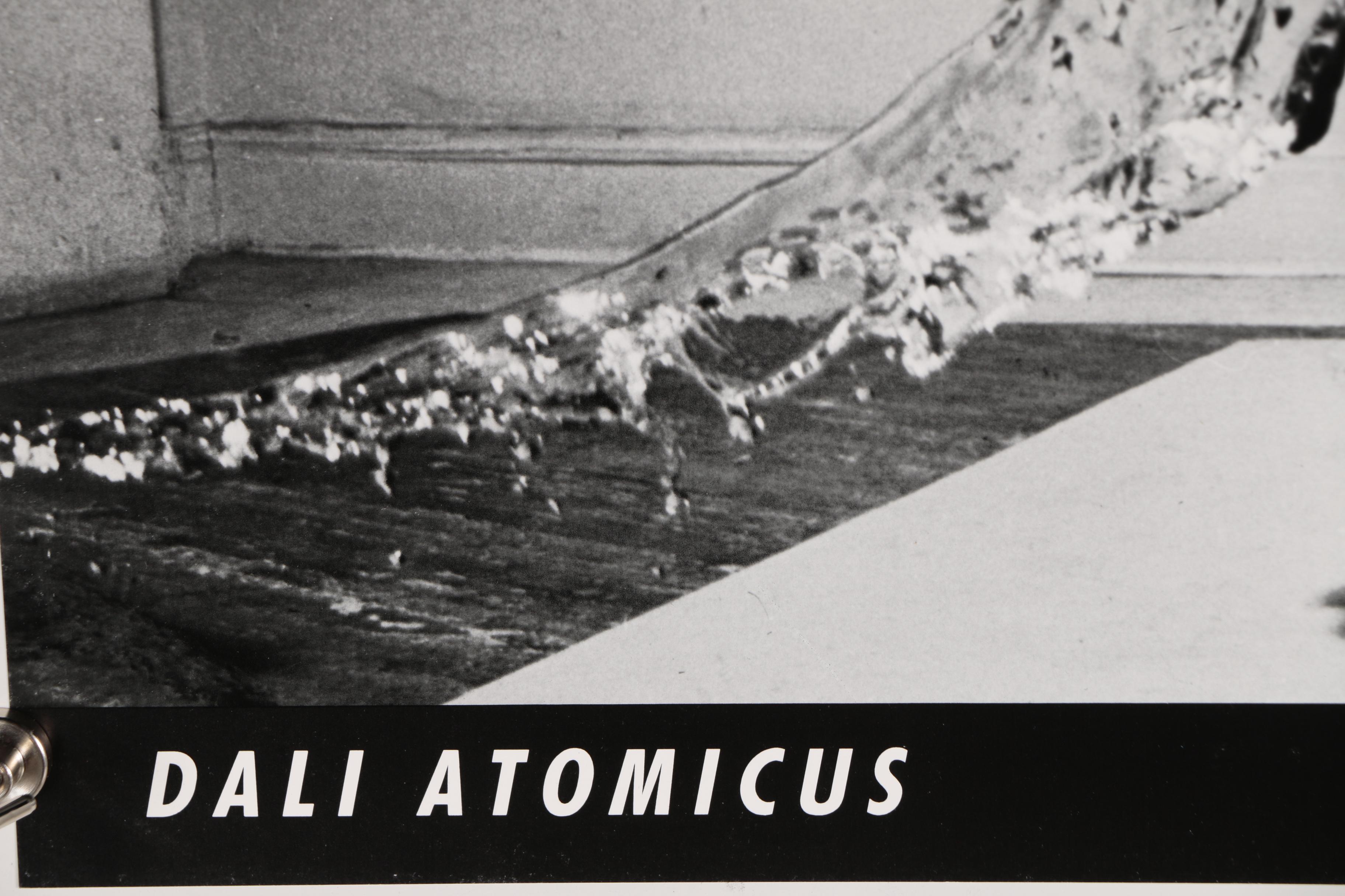 Halftone After Philippe Halsman and Salvador Dalí "Dali Atomicus"
