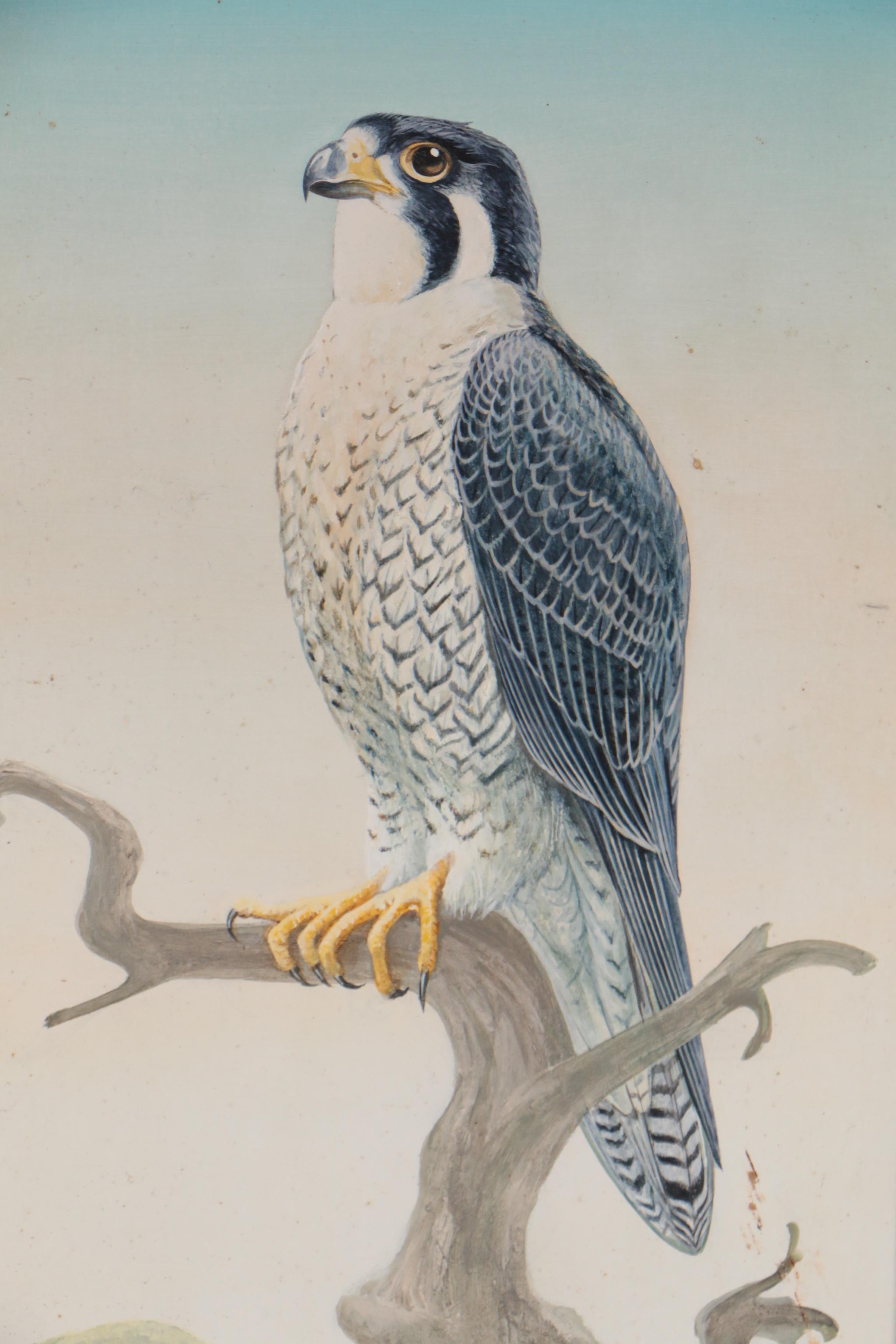 Harold McIntosh Peregrine Falcon Acrylic Painting