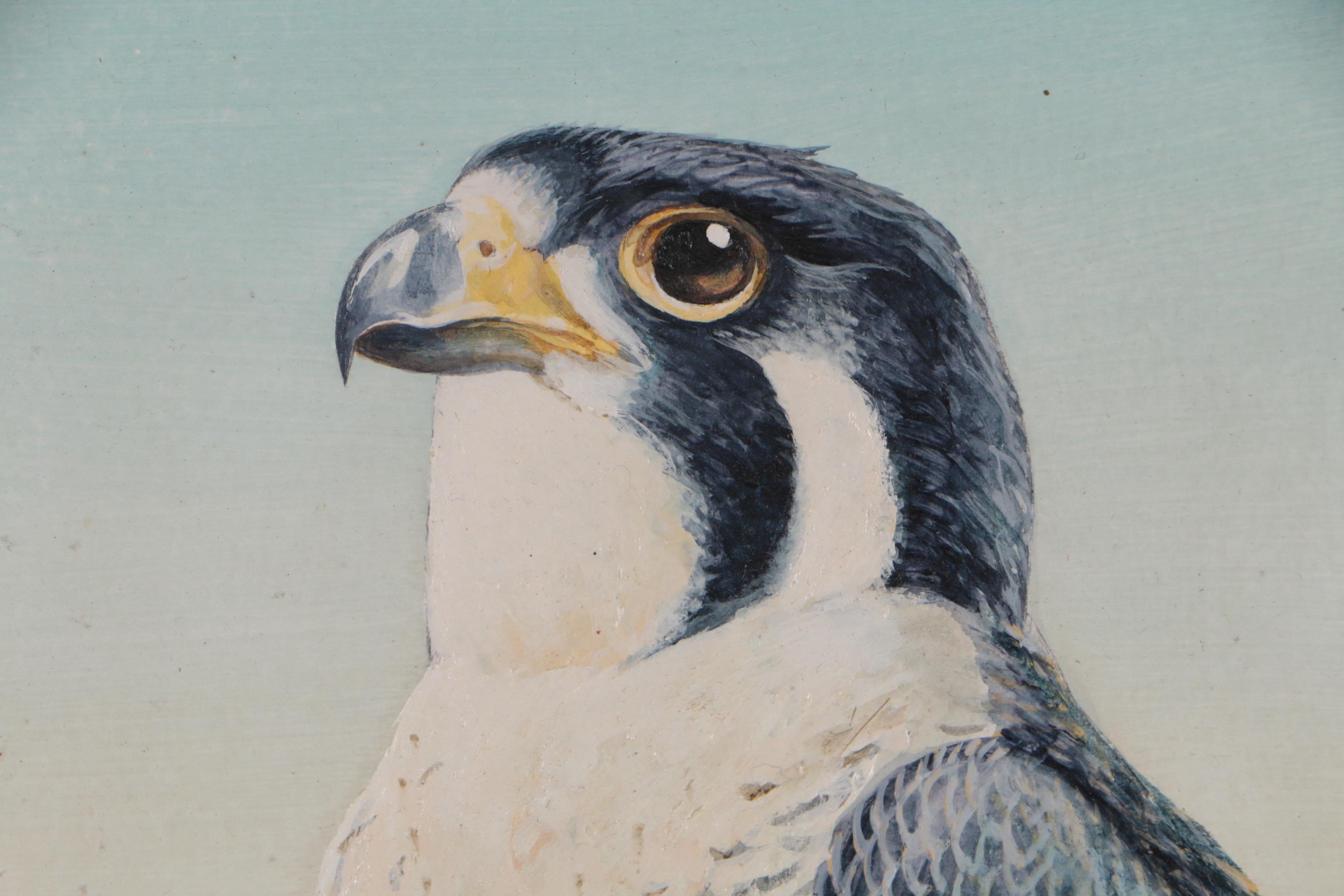 Harold McIntosh Peregrine Falcon Acrylic Painting