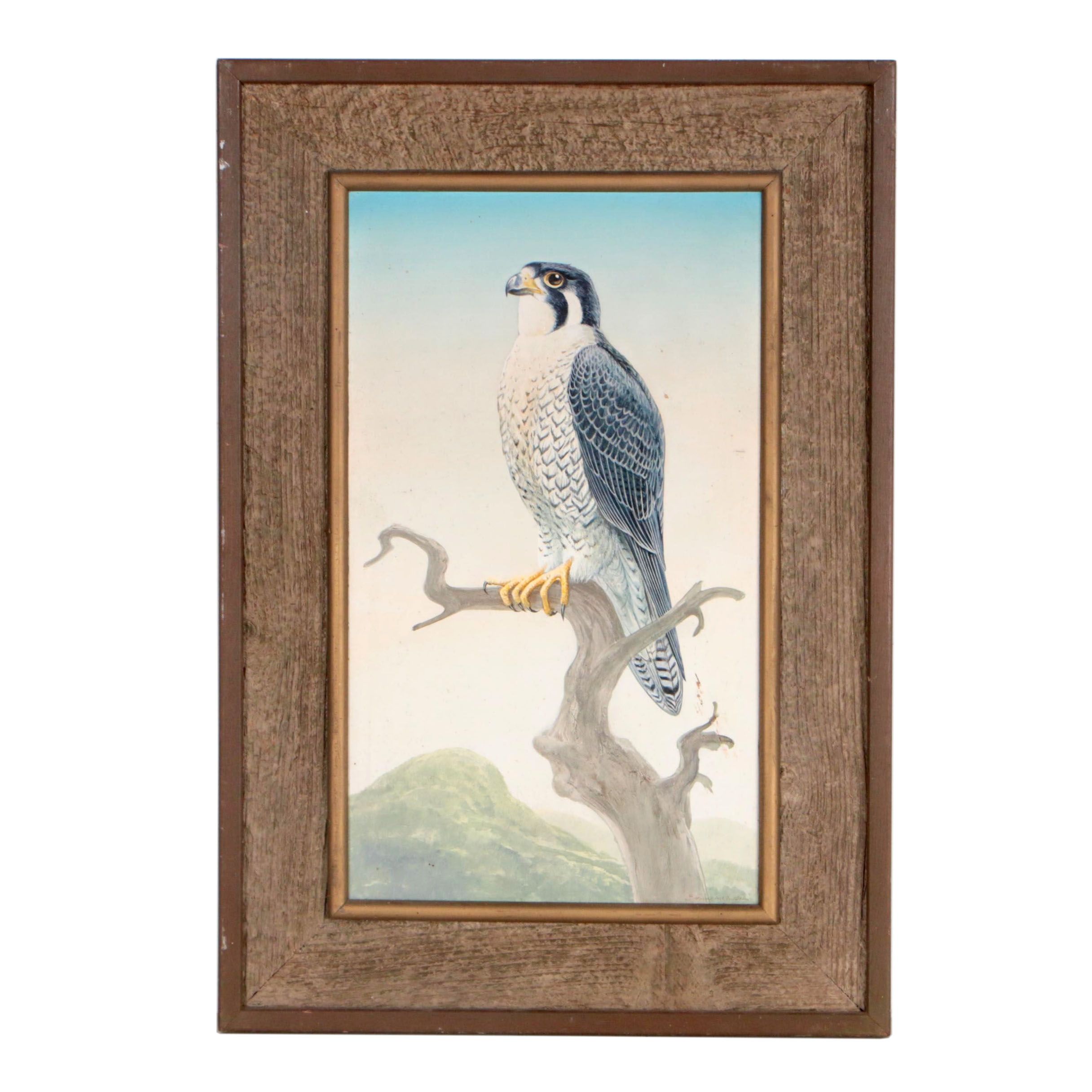 Harold McIntosh Peregrine Falcon Acrylic Painting