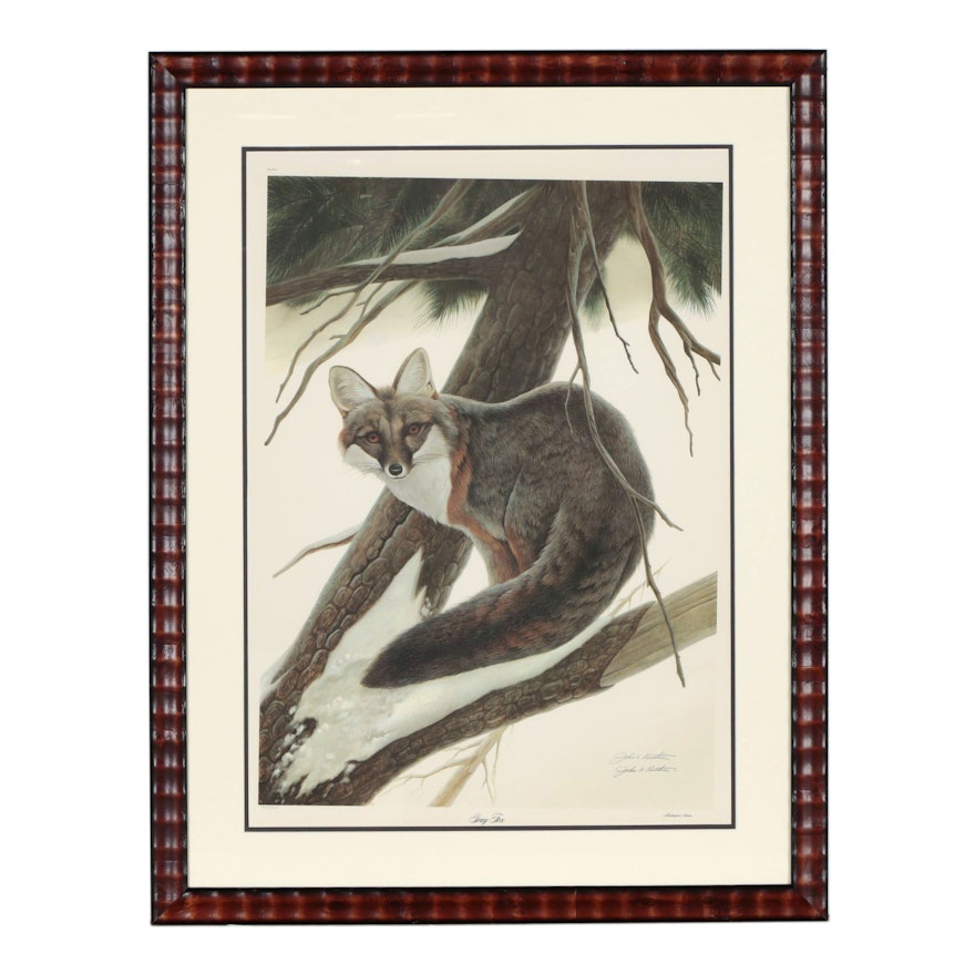 John A. Ruthven Offset Lithograph "Gray Fox"