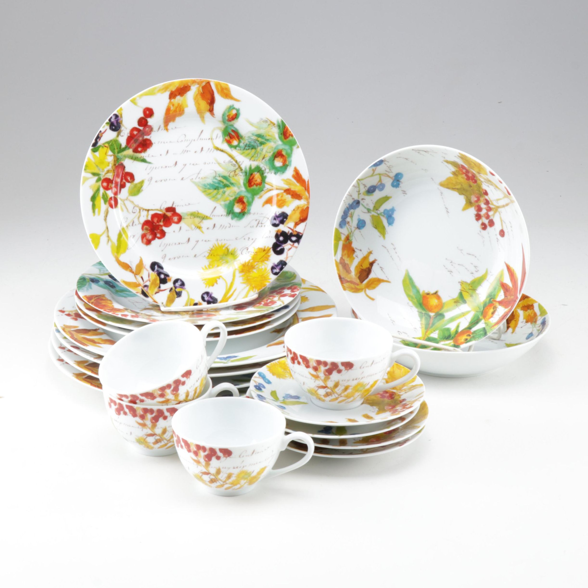 Bernardaud for Williams-Sonoma "Harvest Berry" Ceramic Dinnerware