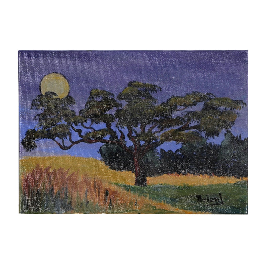 Brian Johnpeer Landscape Acrylic Painting "Evening Stretch"