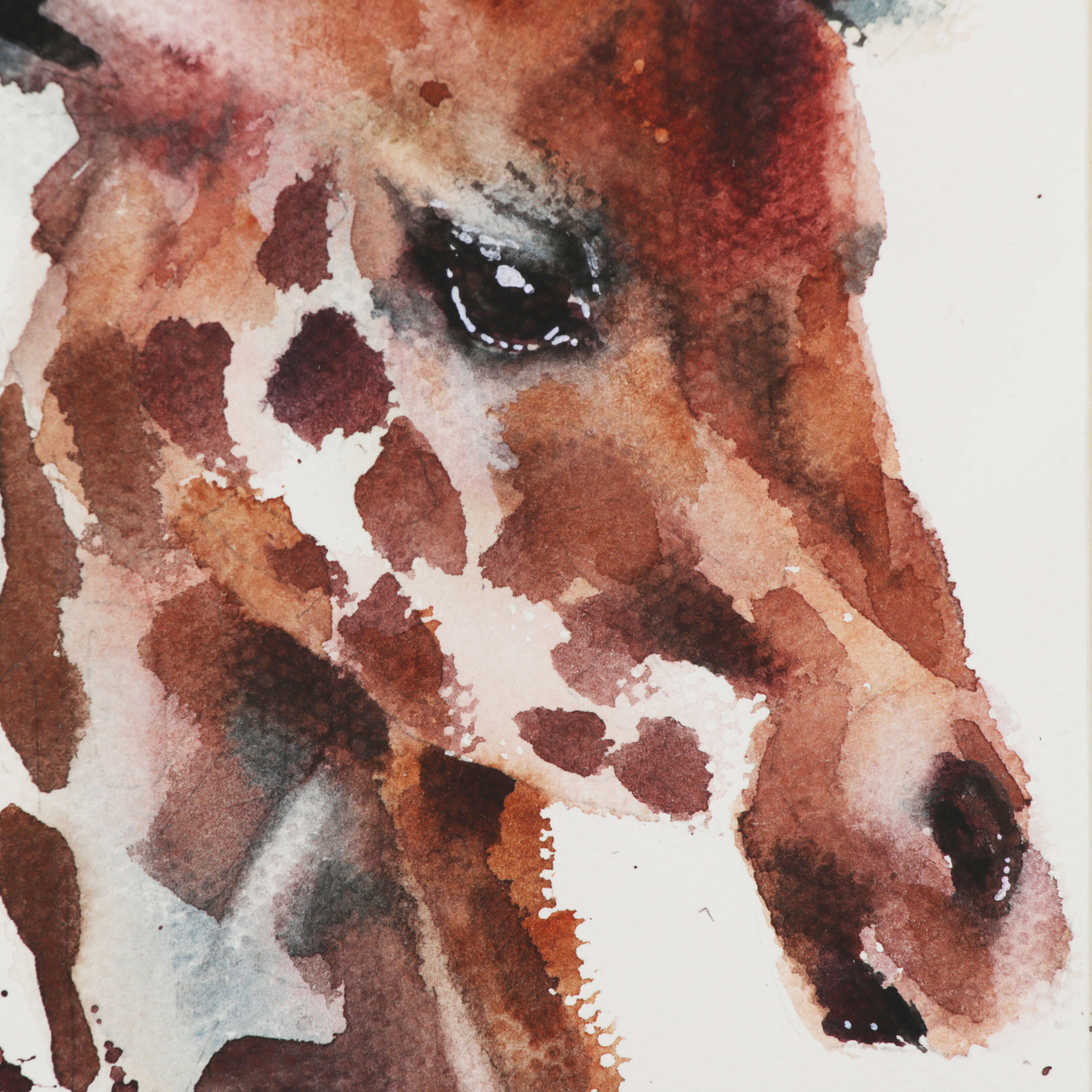 Watercolor Painting of a Giraffe