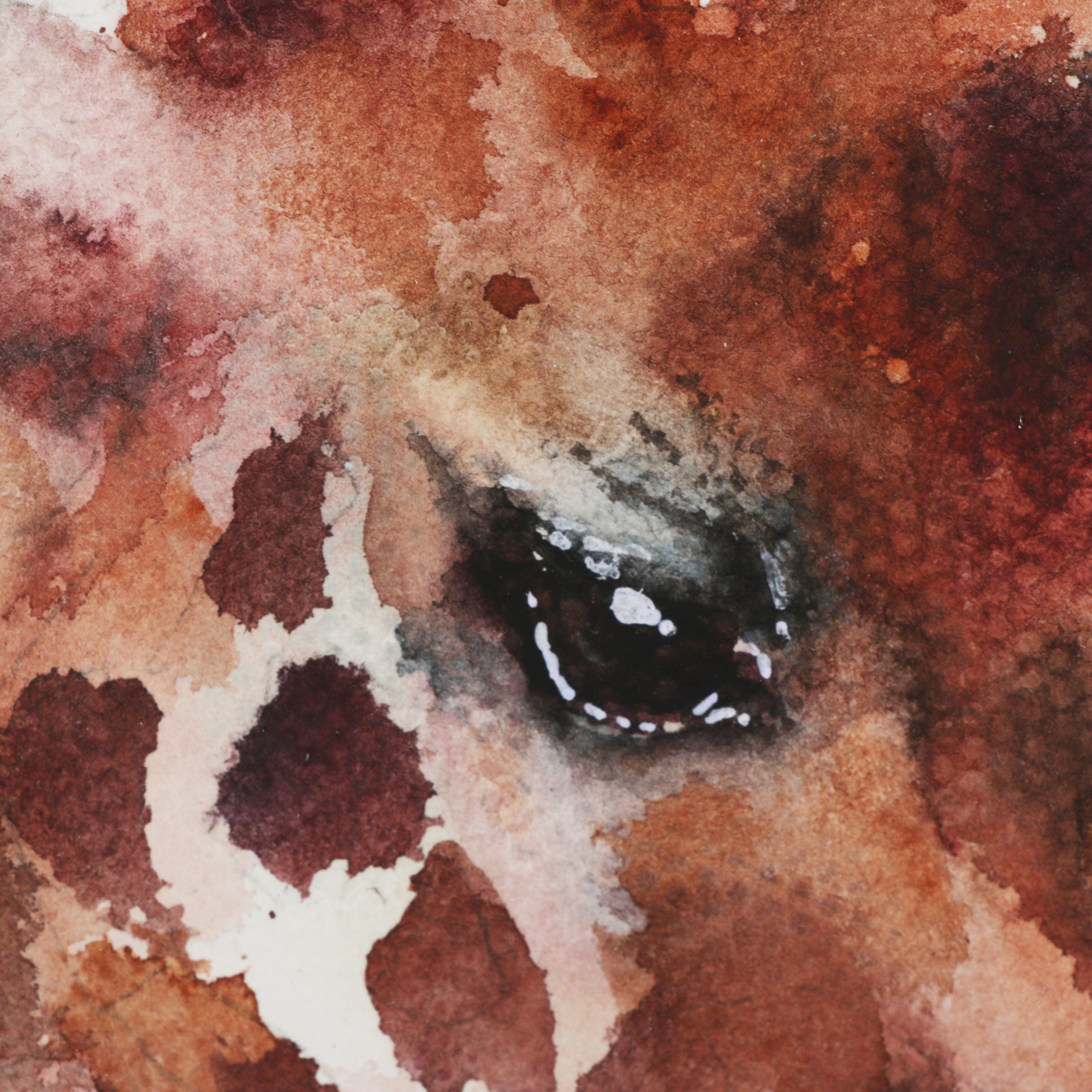 Watercolor Painting of a Giraffe