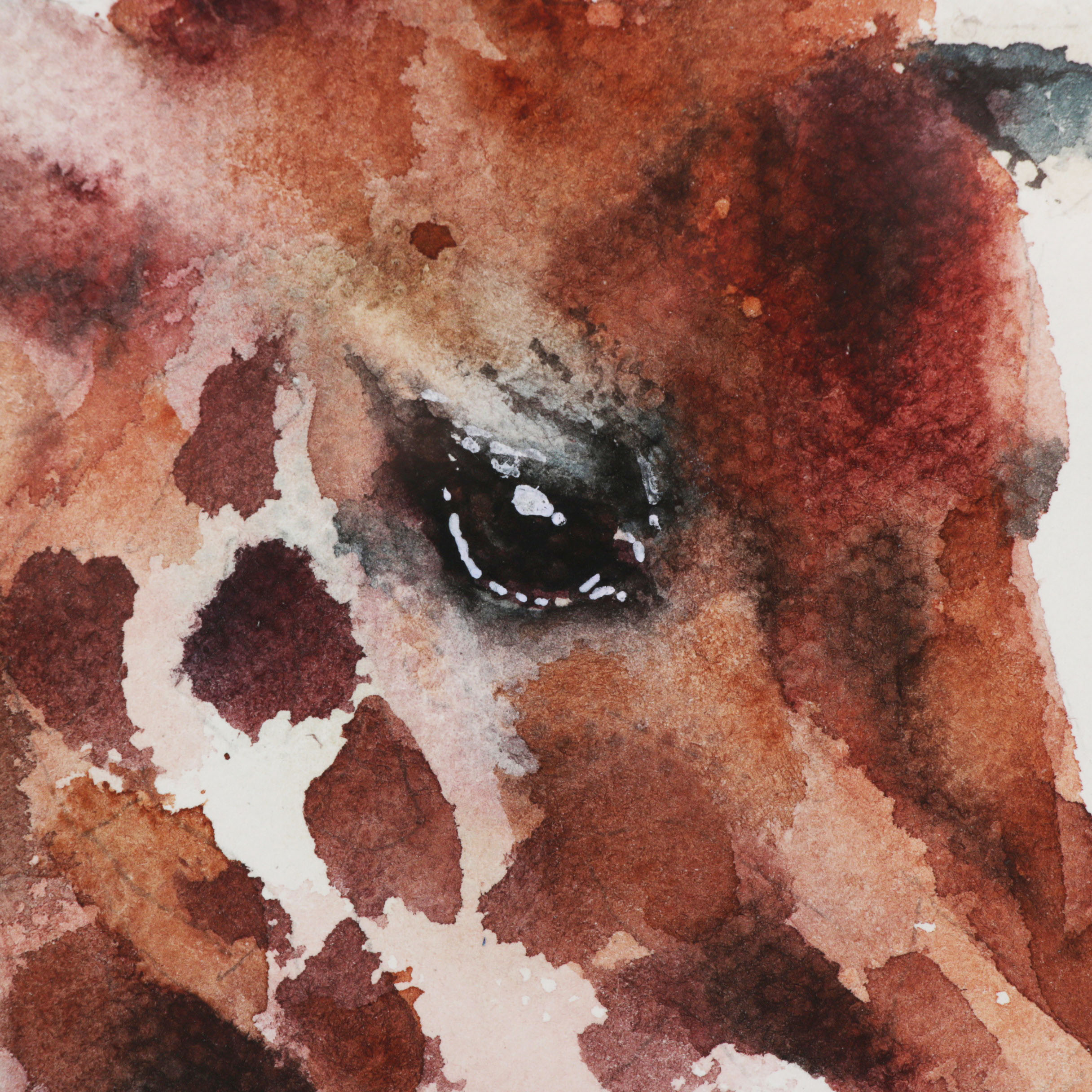 Watercolor Painting of a Giraffe