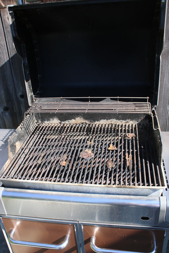 Weber EP-310 Copper Genesis Natural Gas Outdoor Grill