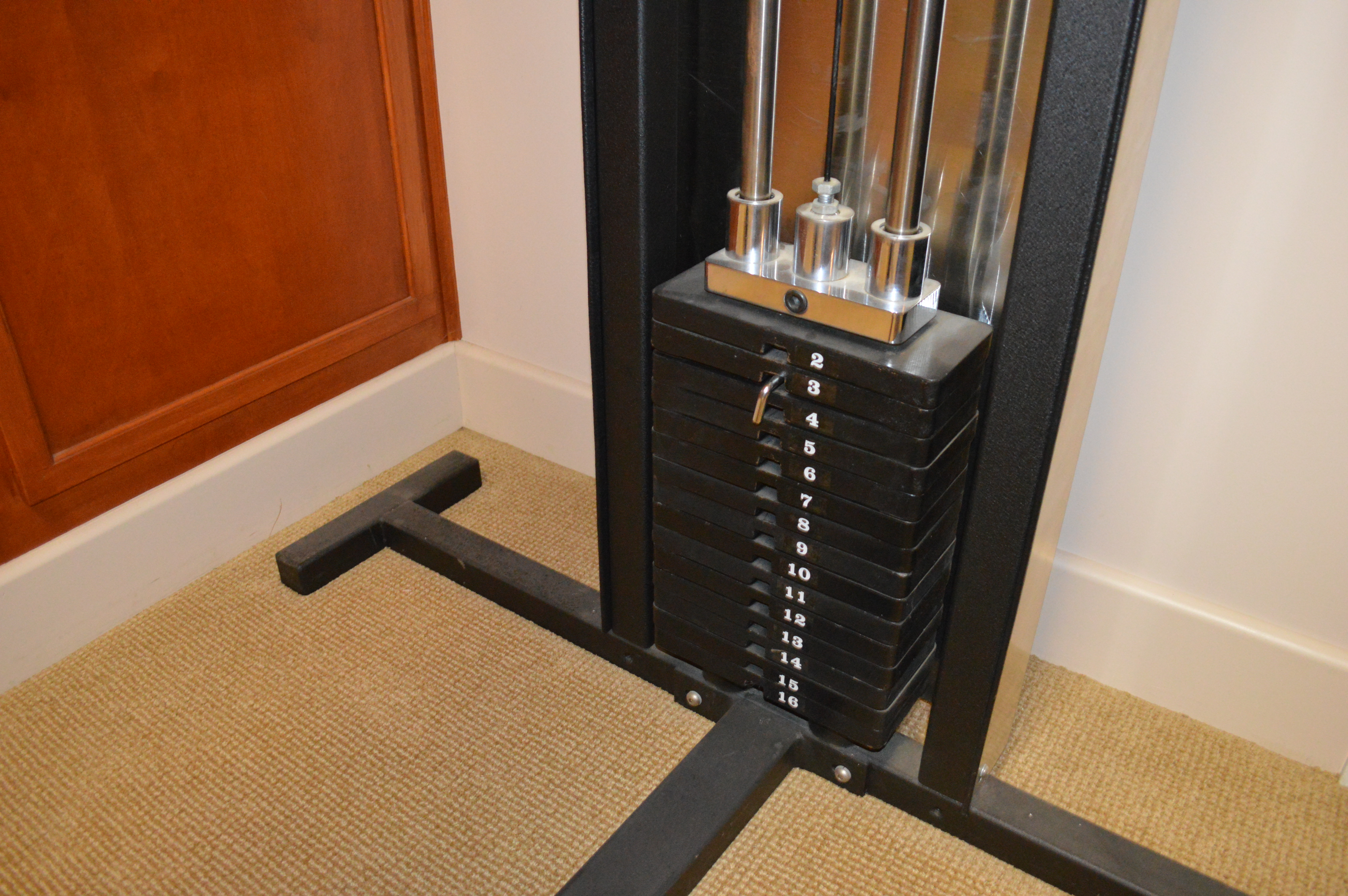 PS One Fitness Co. Home Gym