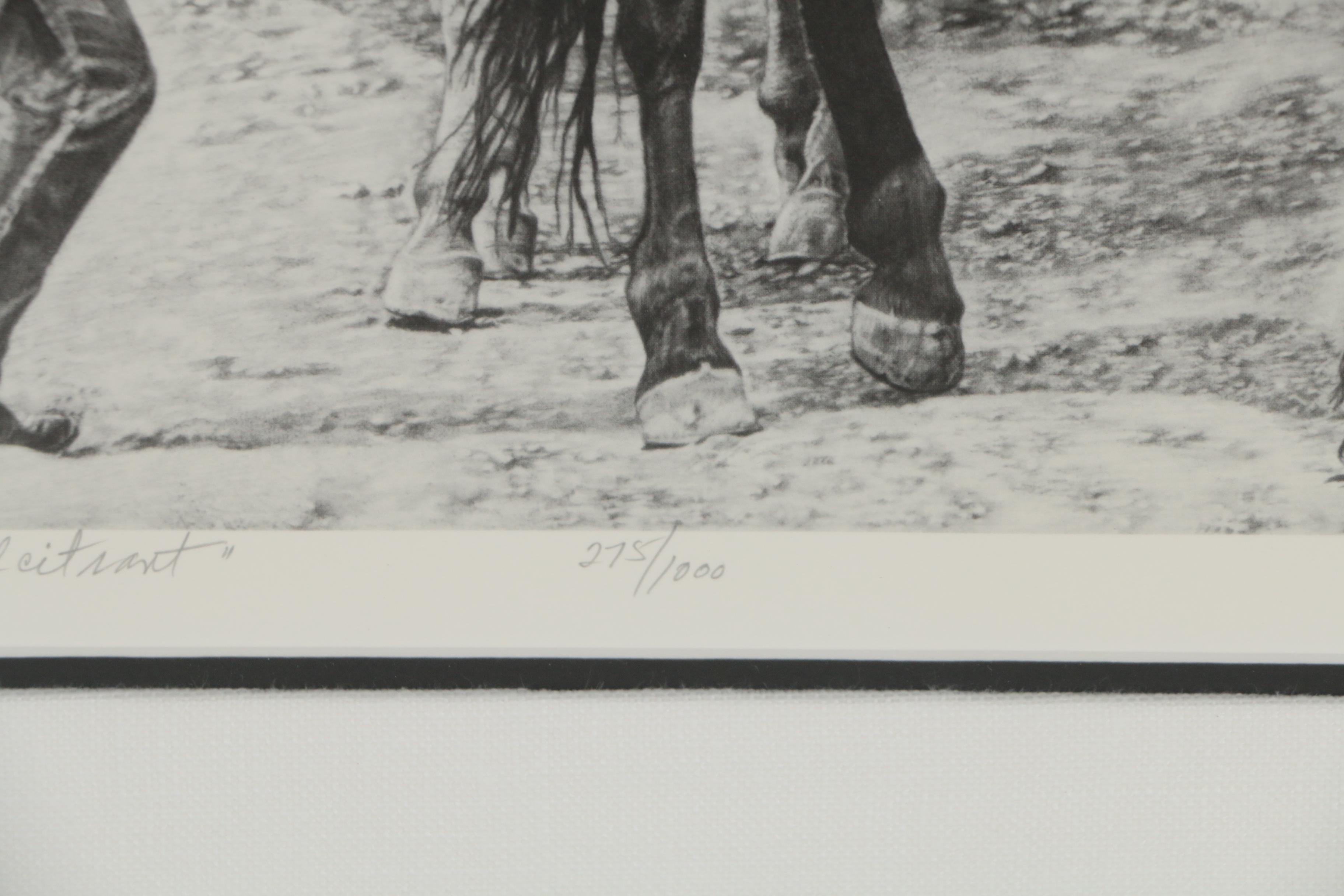 Rochelle Niederman Halftone "The Recalcitrant"