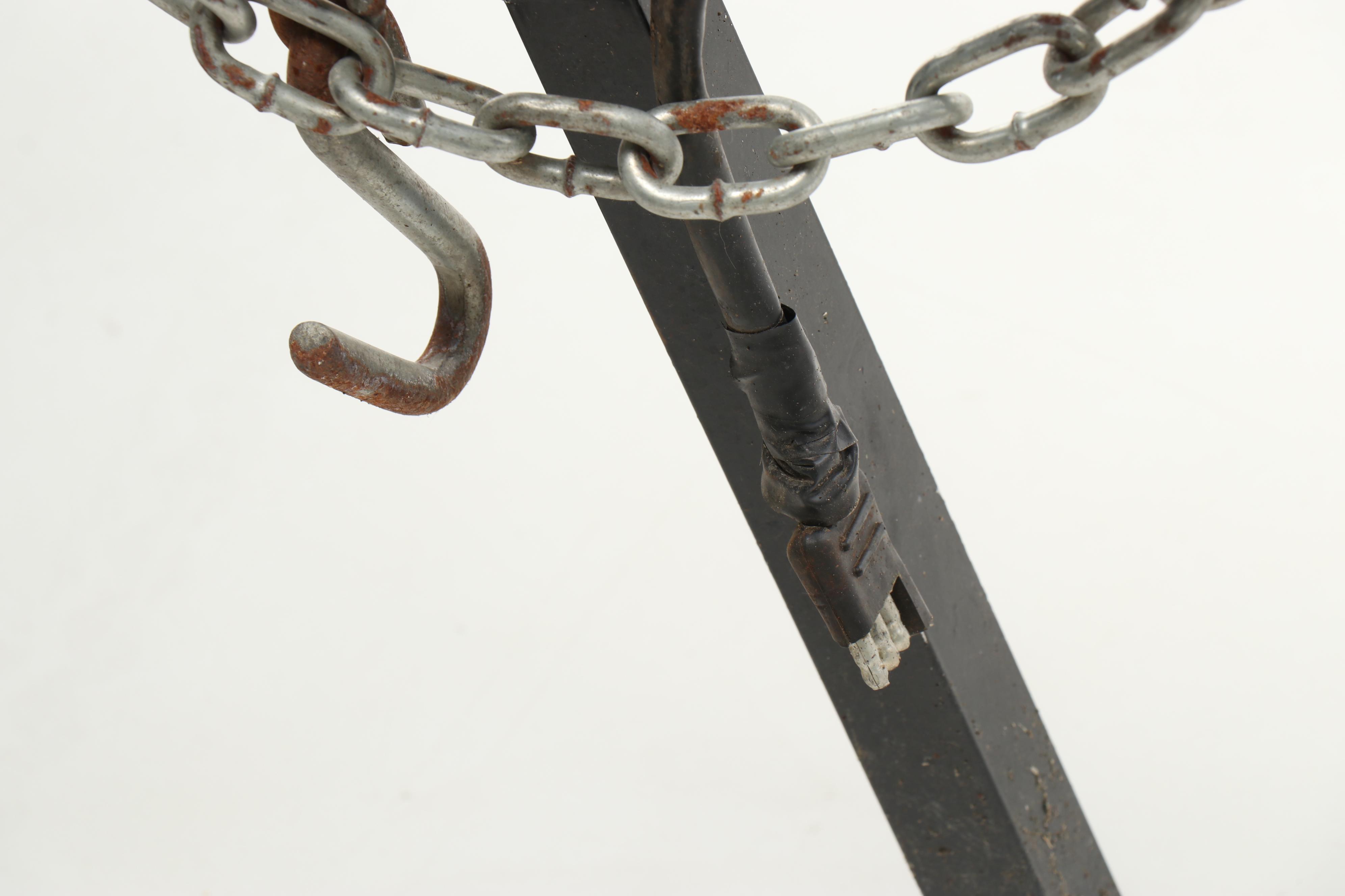 2009 Towblazer Pull Behind Motorcycle Trailer