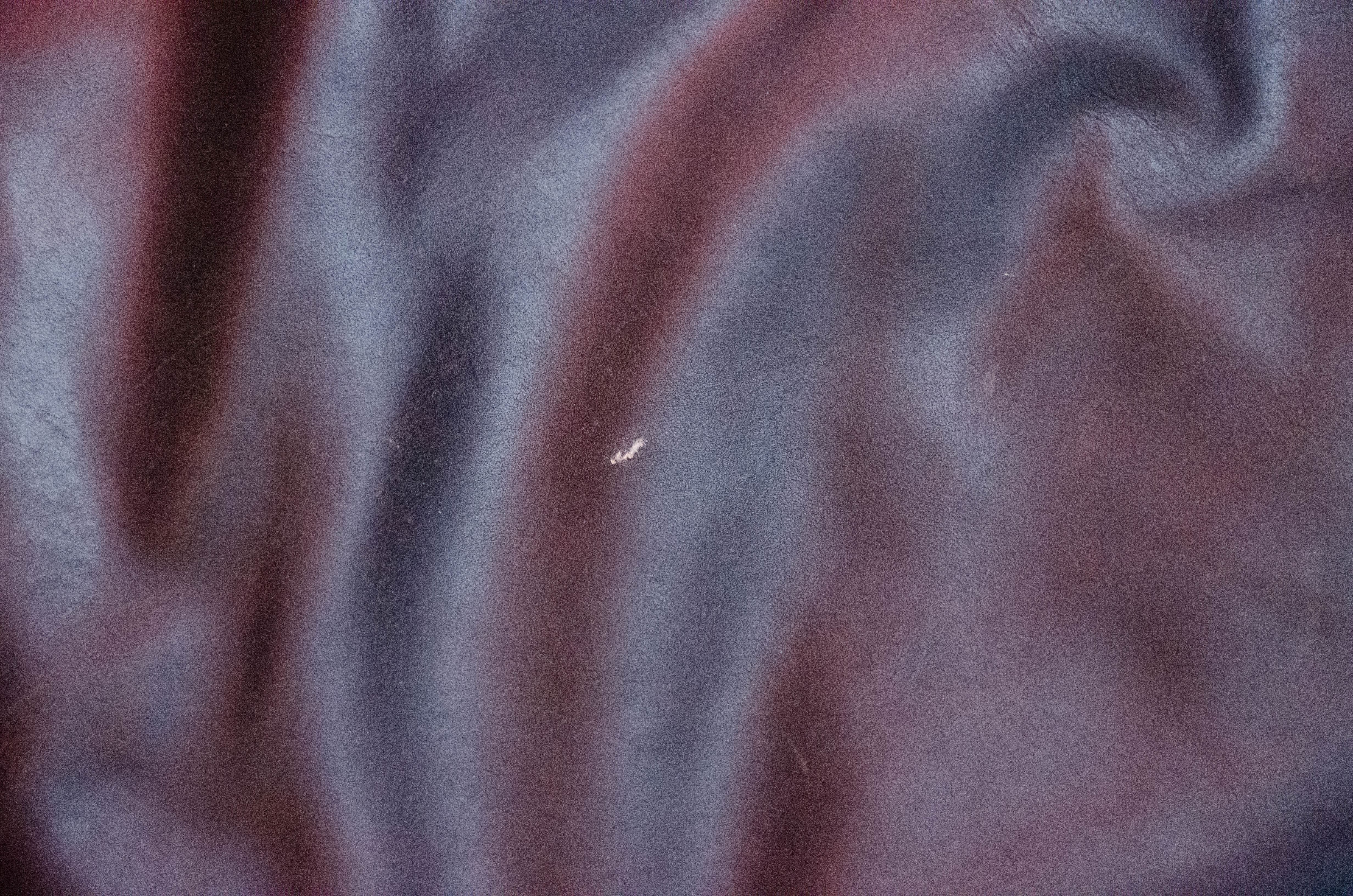 Modern Leather Upholstered Sofa with Hand Tufted and Leather Decorative Pillows