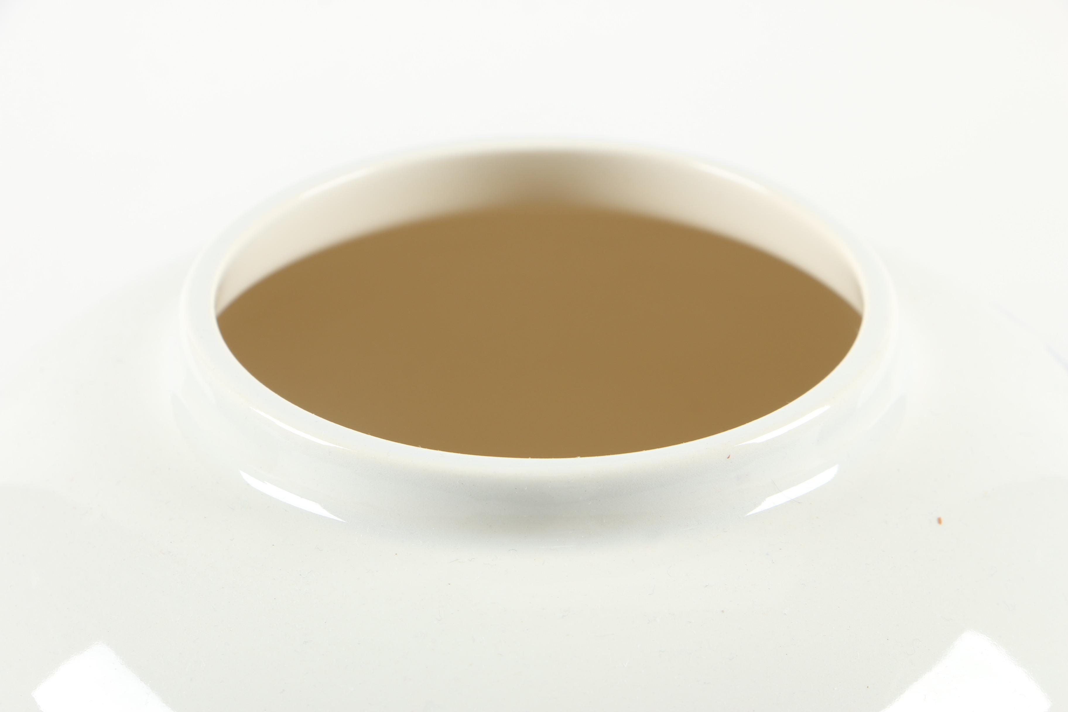 Royal Goedewaagen "Texas" Delftware Tobacco Jar