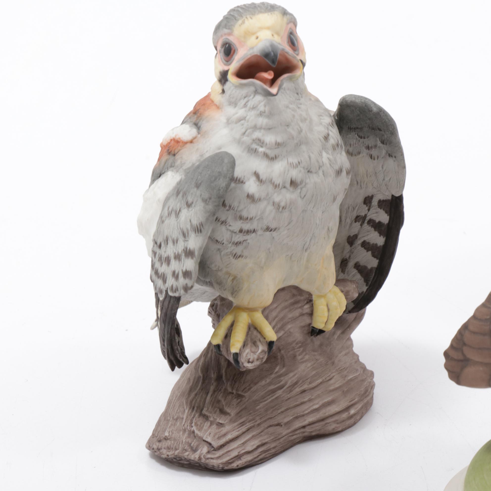 Boehm Baby Blue Bird, Baby Robin, Hedgling Magpie and Other Porcelain Birds