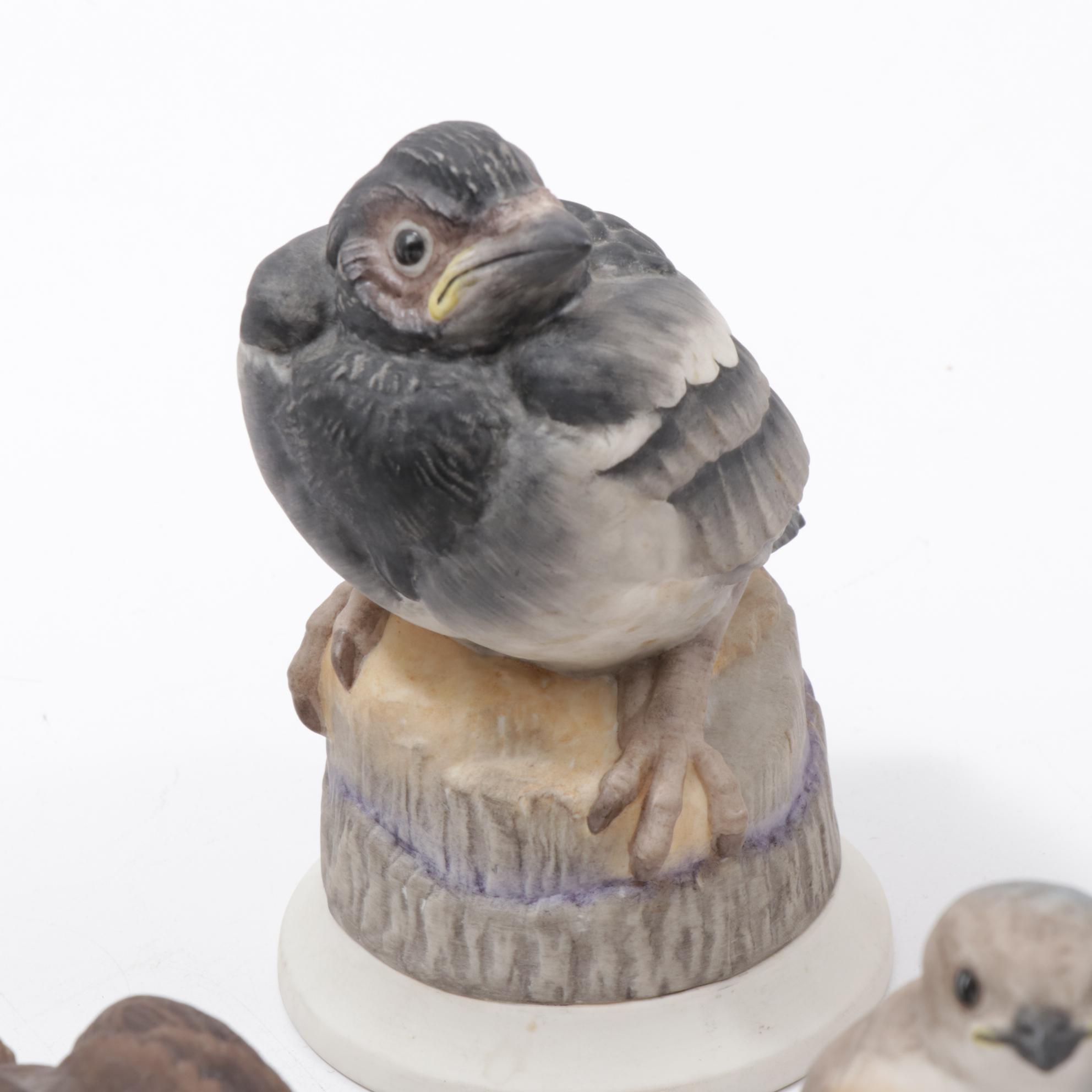 Boehm Baby Blue Bird, Baby Robin, Hedgling Magpie and Other Porcelain Birds