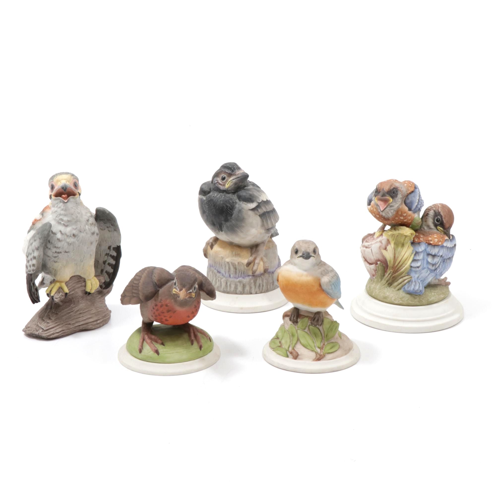 Boehm Baby Blue Bird, Baby Robin, Hedgling Magpie and Other Porcelain Birds