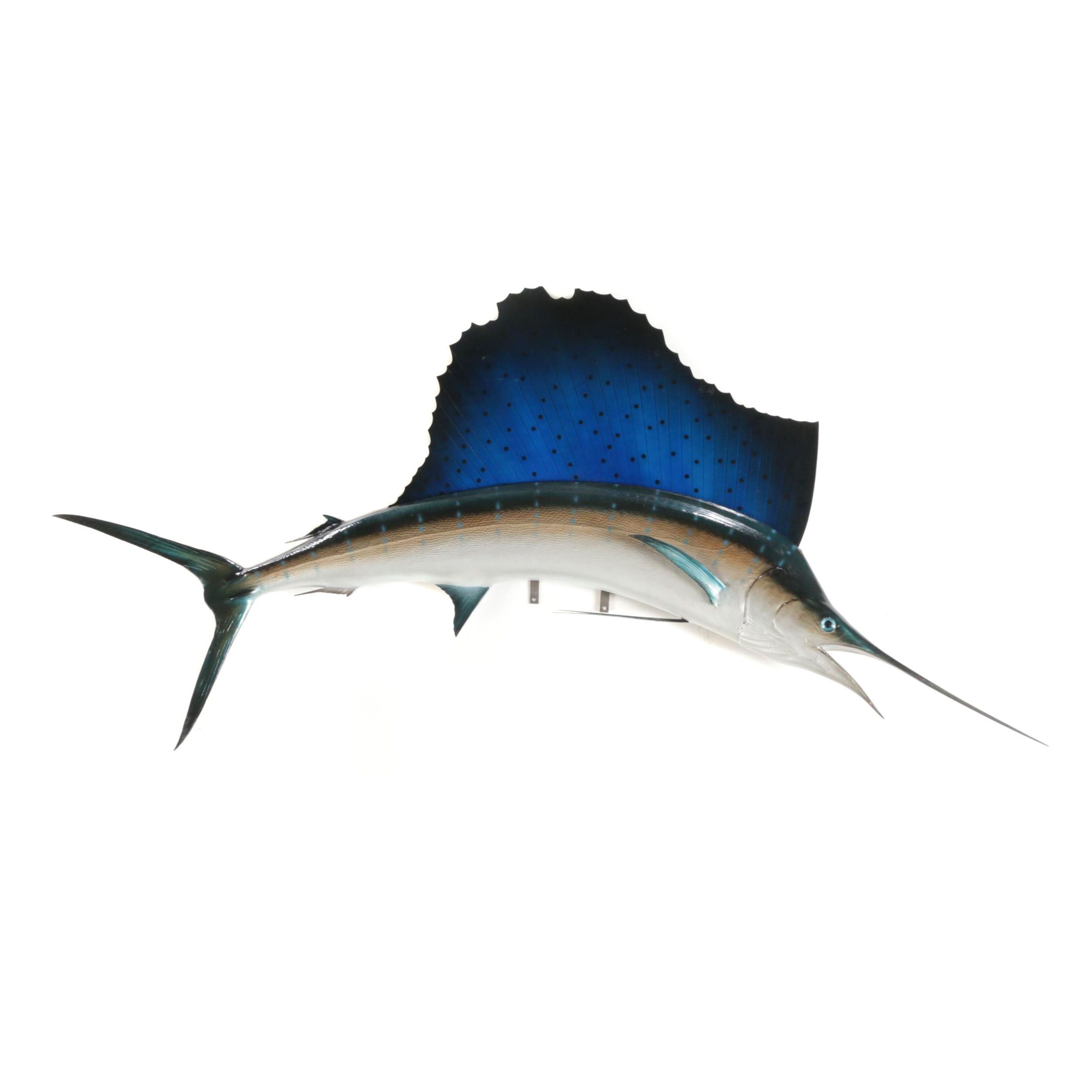 Sailfish Full Body Taxidermy Mount
