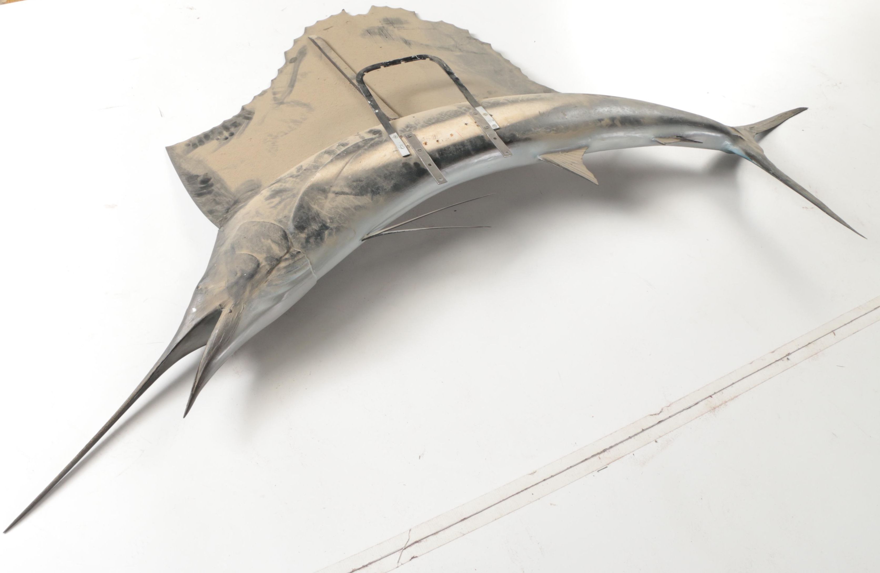 Sailfish Full Body Taxidermy Mount