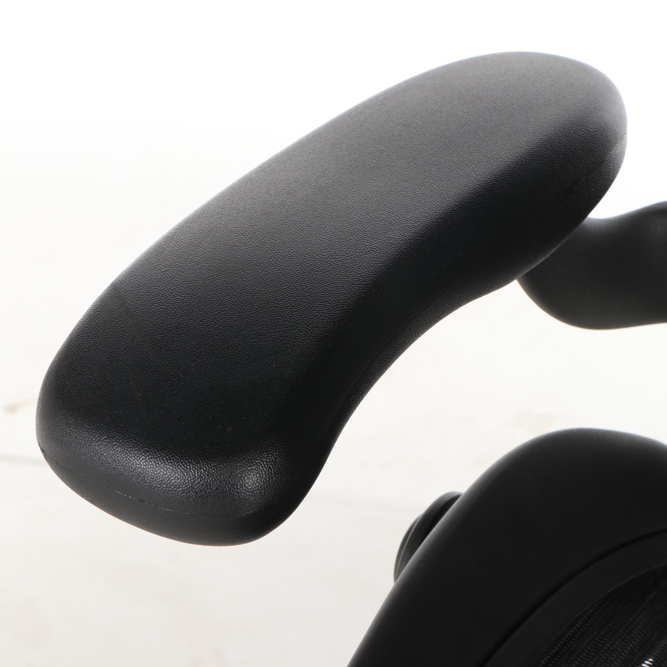 Herman Miller "Aeron" Fully Equipped "B" Office Chair, Contemporary