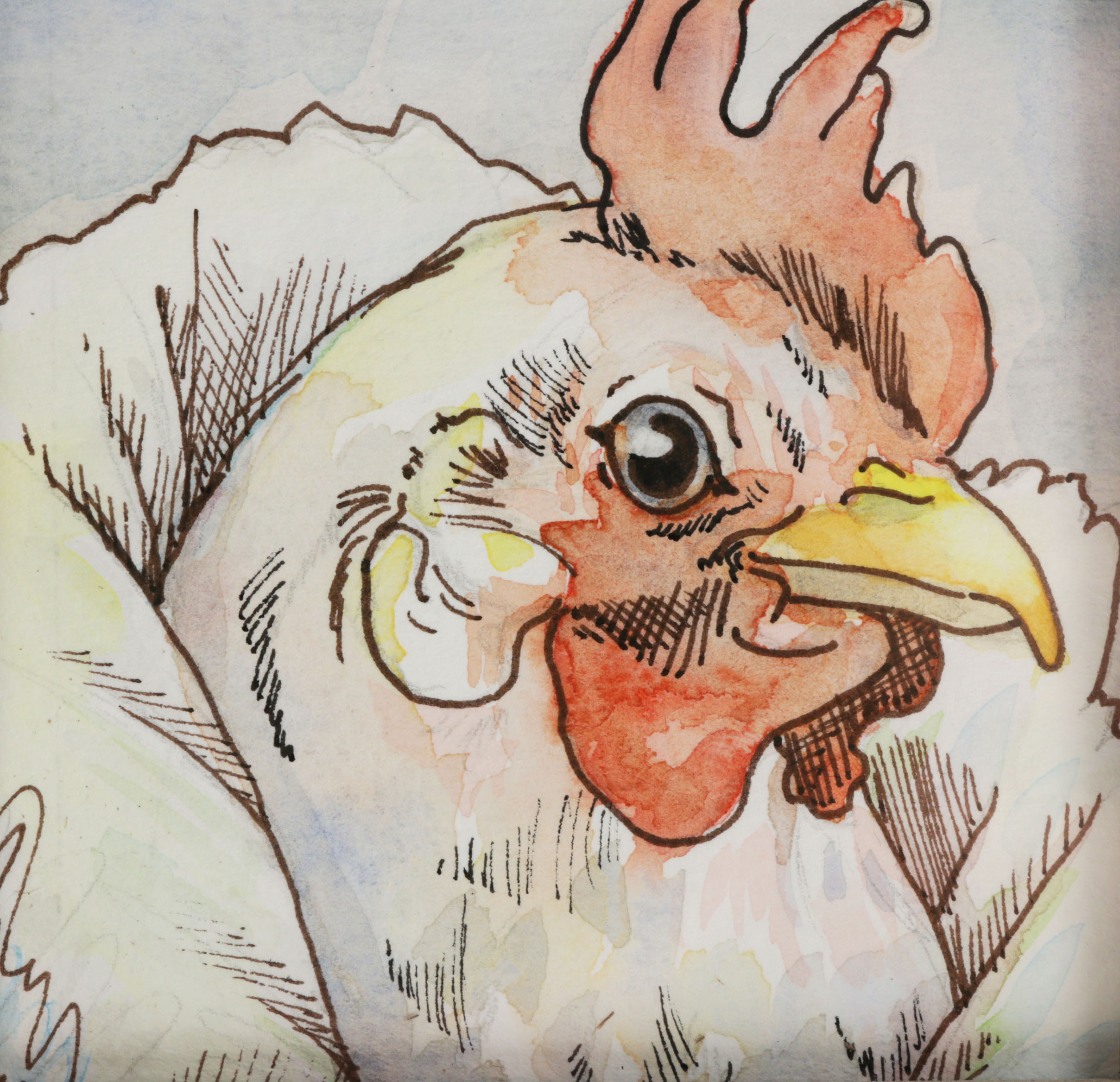 Chicken Anthropomorphic Portrait Watercolor Paintings