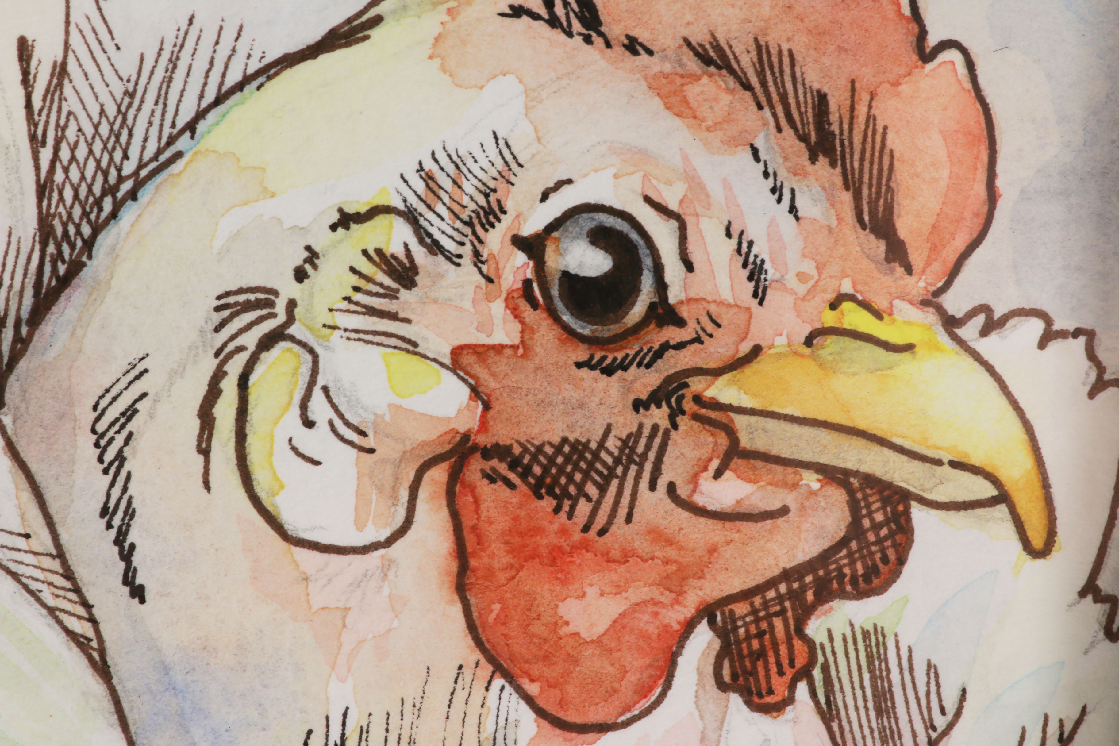 Chicken Anthropomorphic Portrait Watercolor Paintings