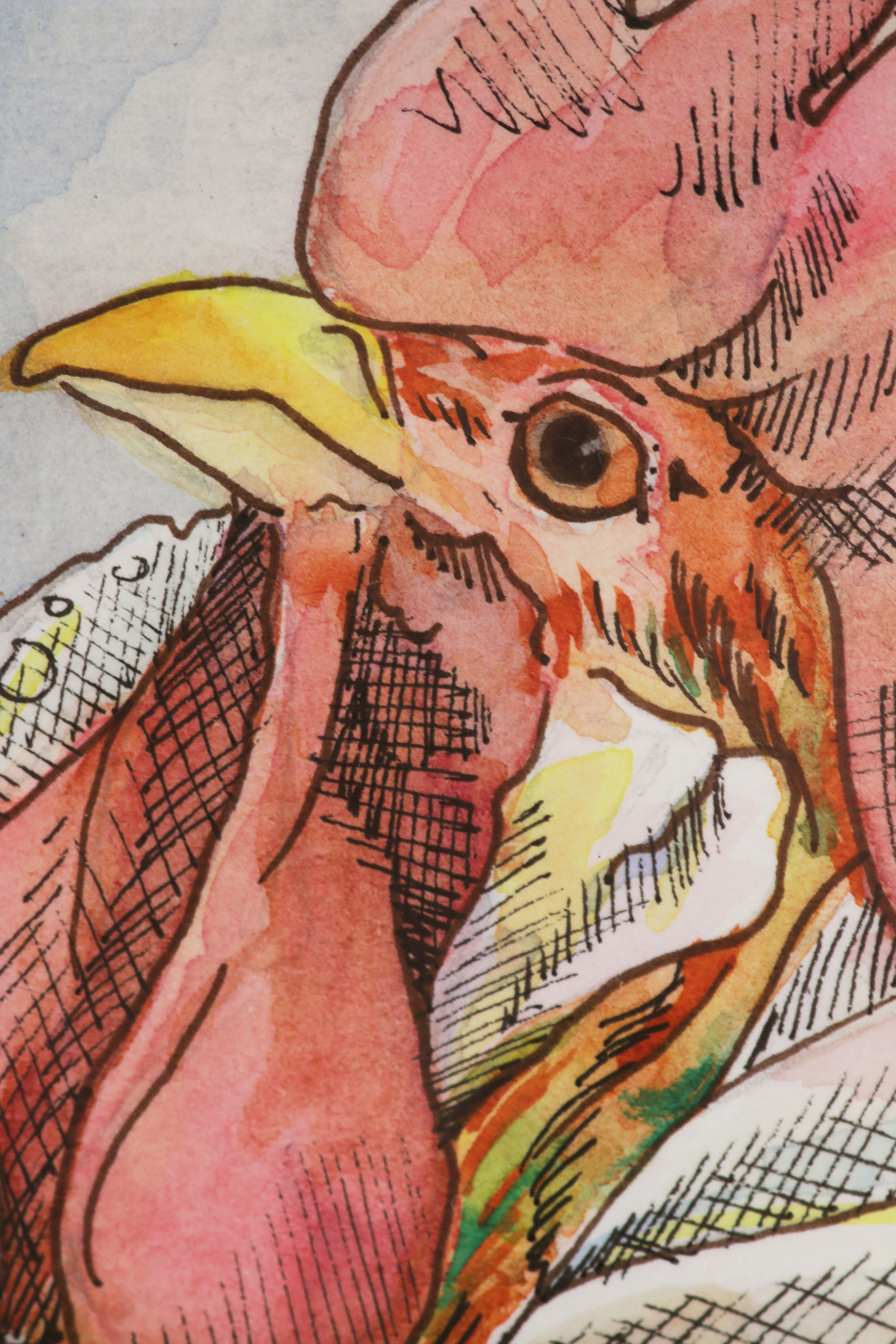 Chicken Anthropomorphic Portrait Watercolor Paintings