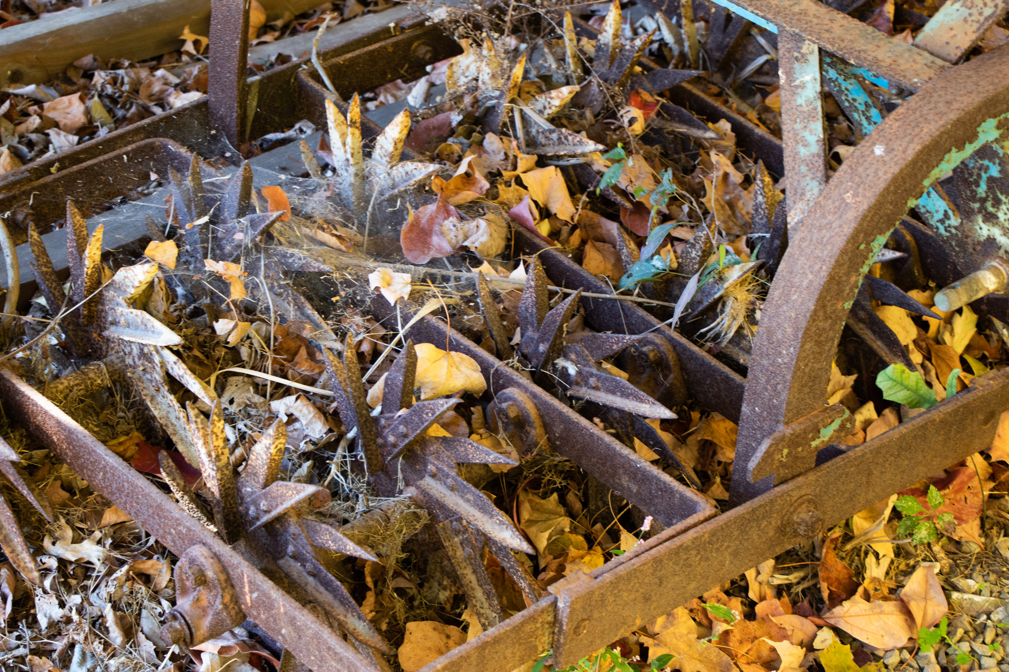 Burch Plow Works True Blue Farming Aerator