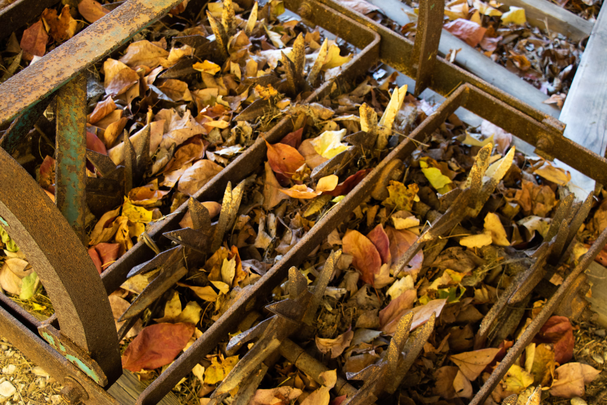 Burch Plow Works True Blue Farming Aerator