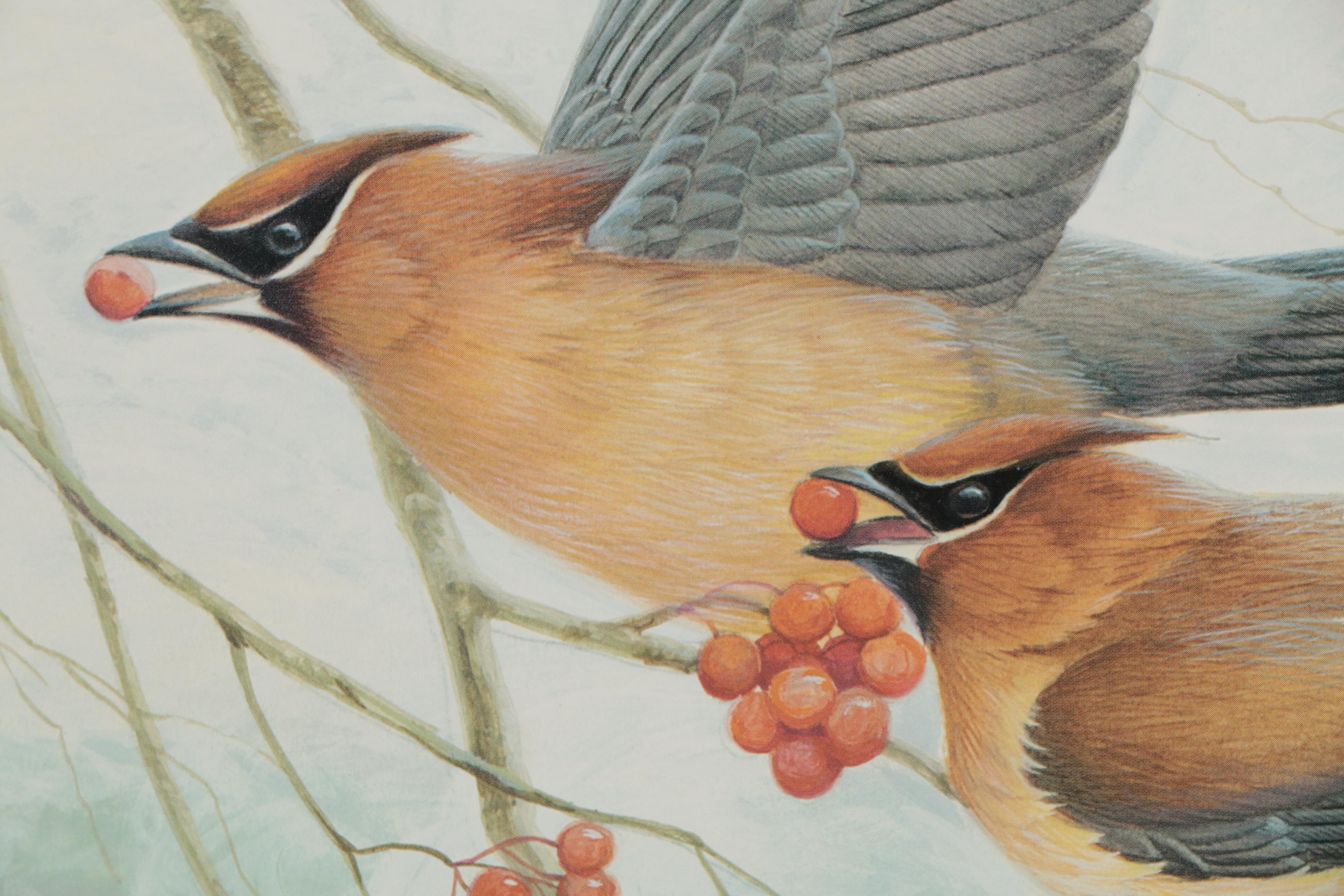 John Ruthven Offset Lithograph "Cedar Waxwings"