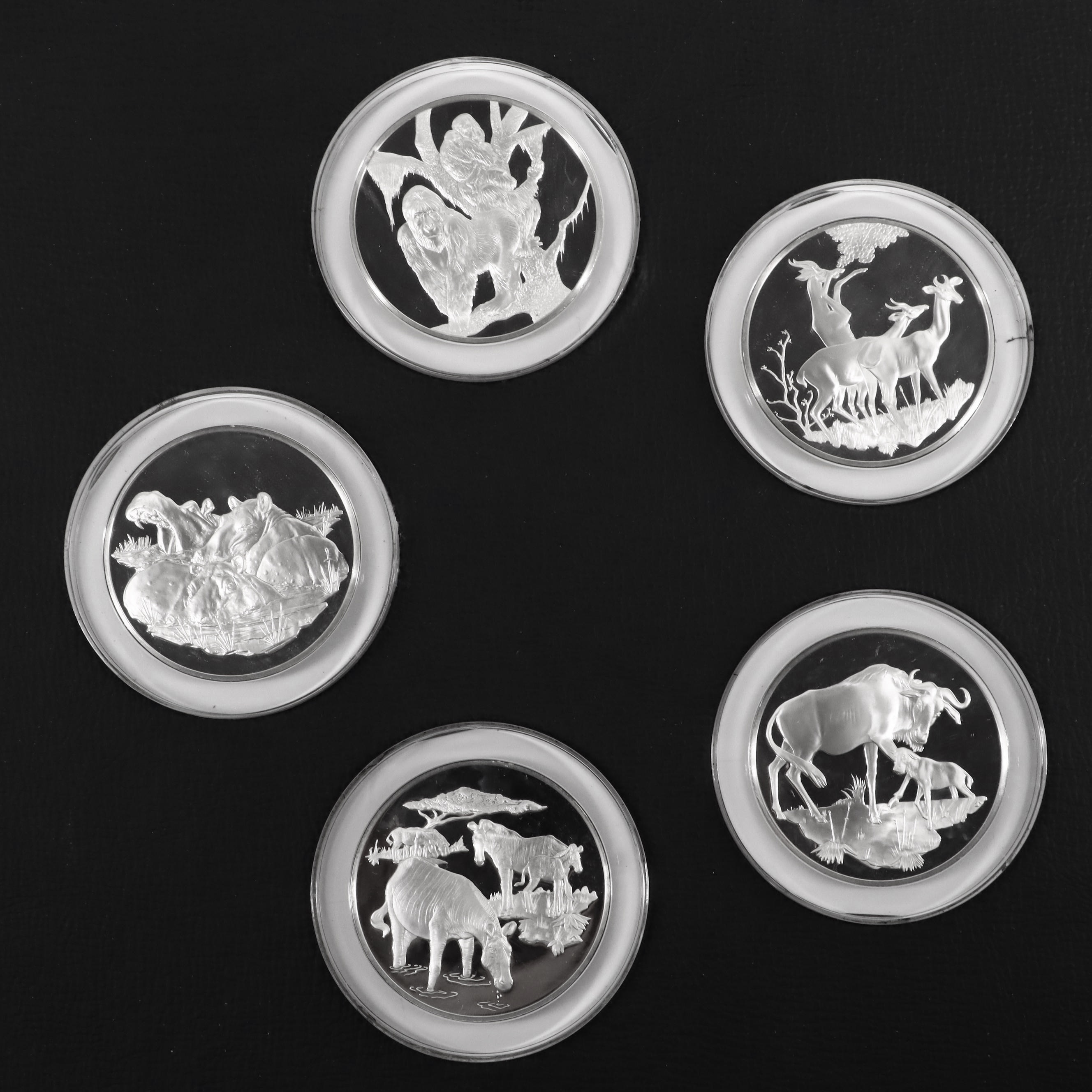 East African Wild Life Society Official Big Game Medals Set