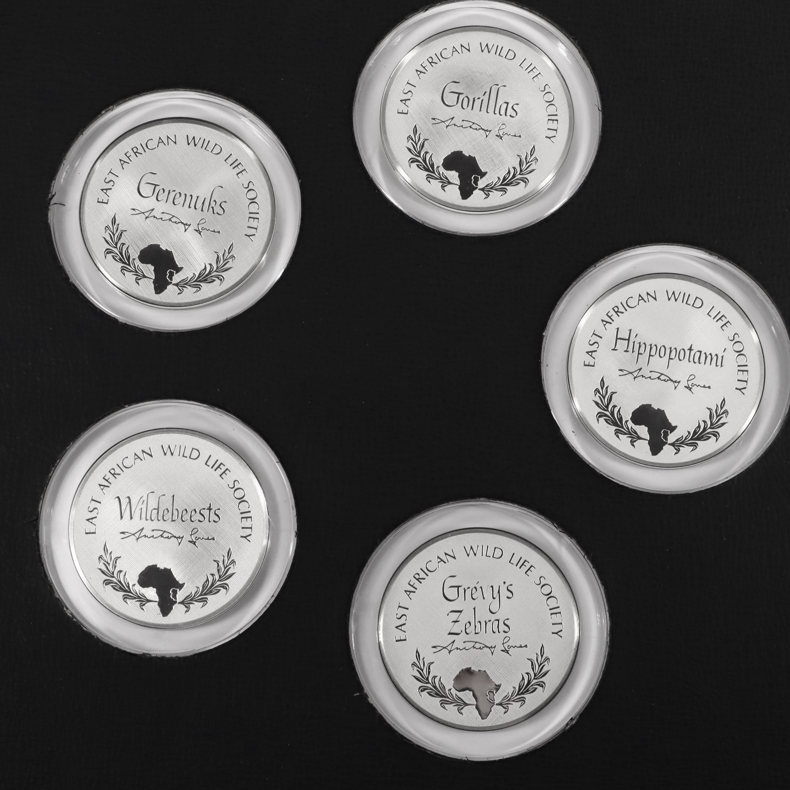 East African Wild Life Society Official Big Game Medals Set